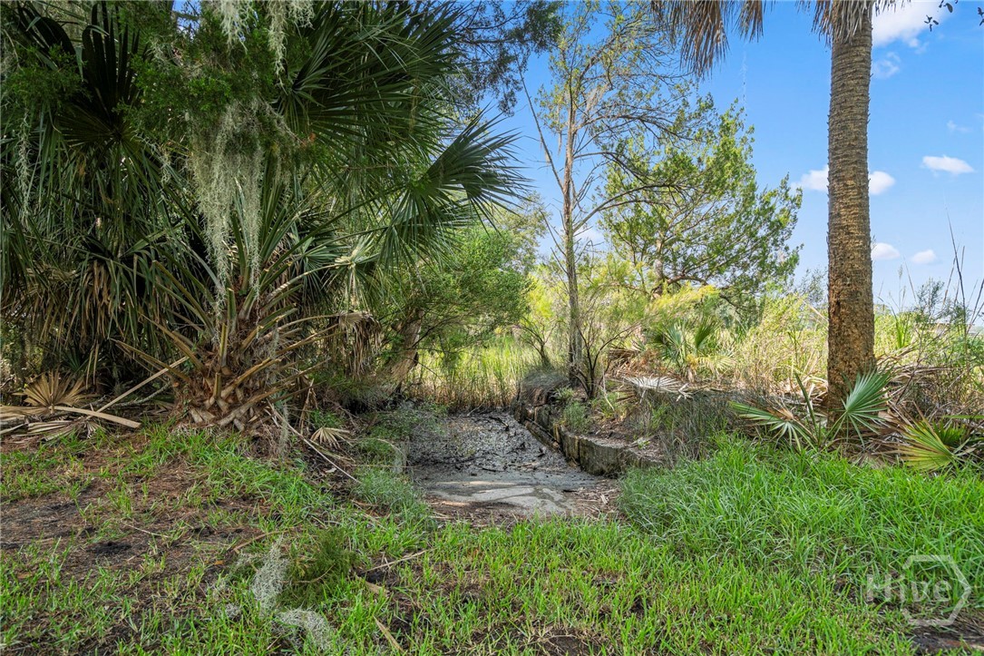 Kayak boat launch in backyard