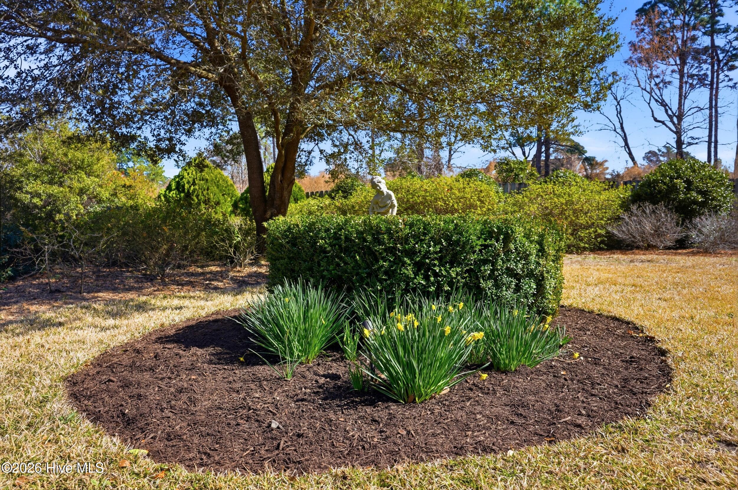 100556921 | Photo 47