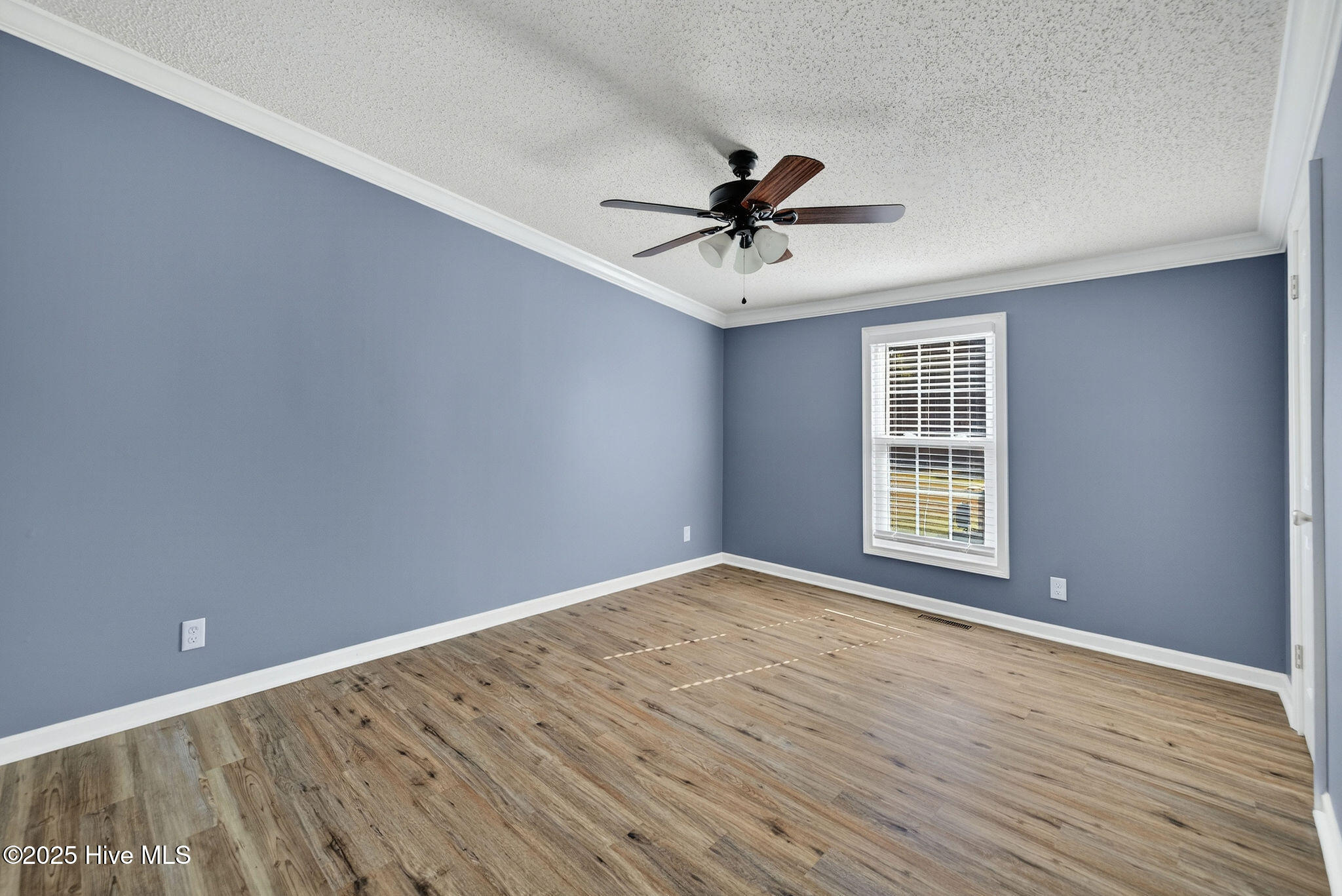 100540799 | Photo 31