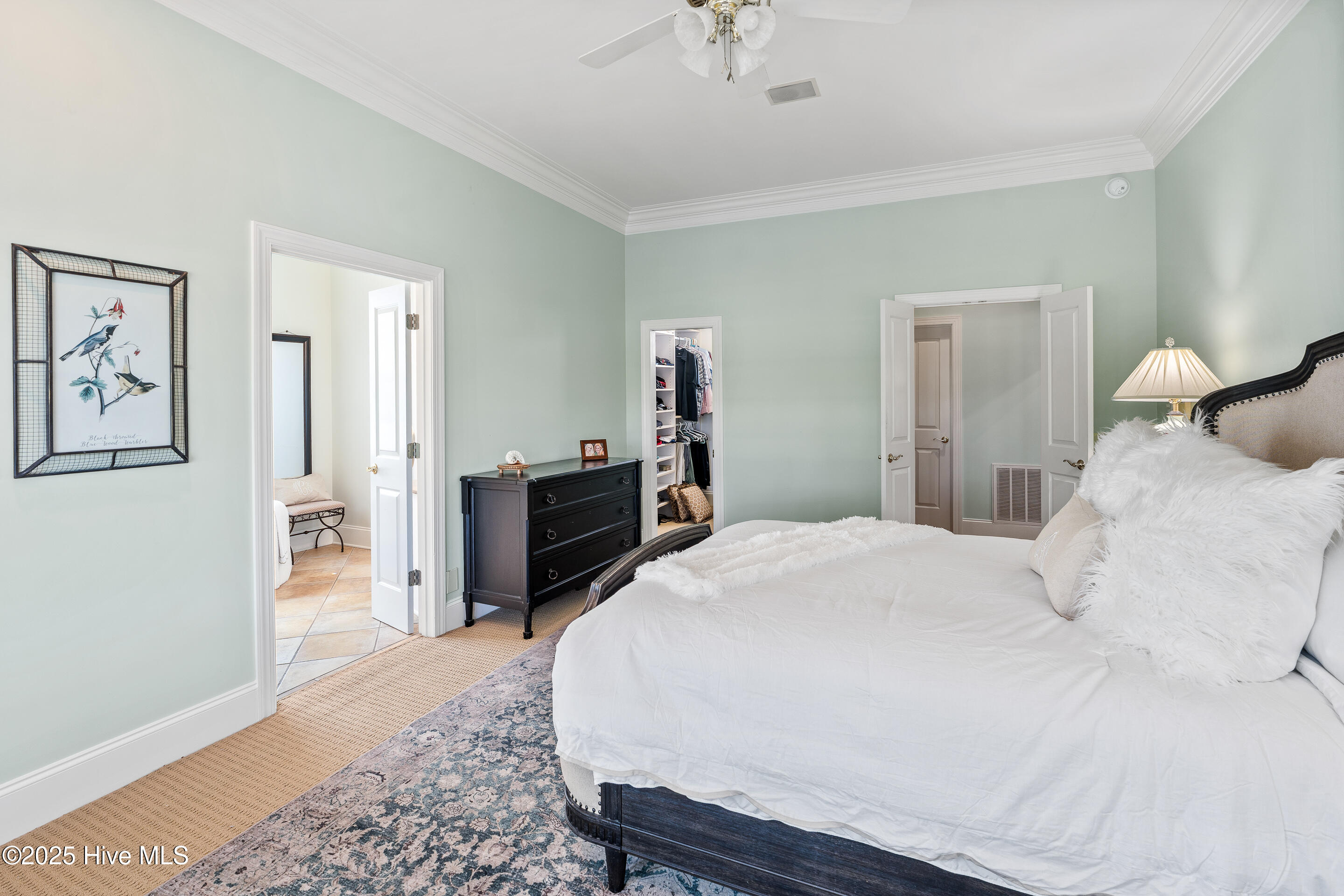 100520099 | Photo 31