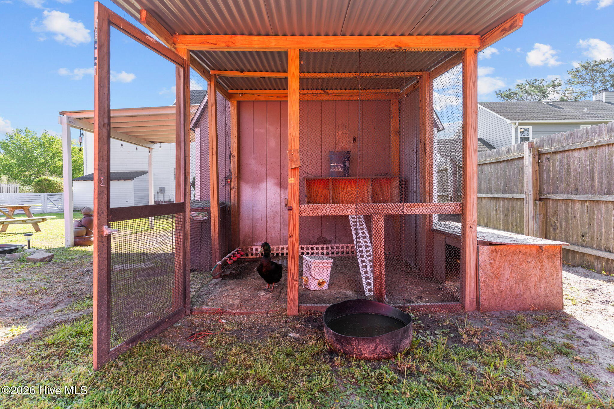 100564590 | Photo 47