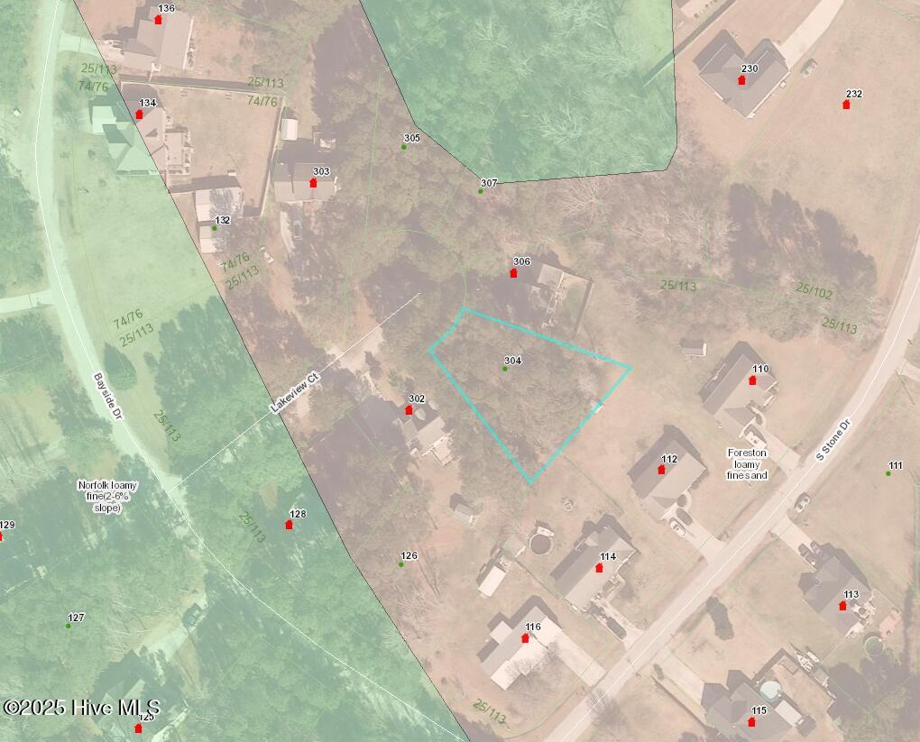 100546456 | Photo 15