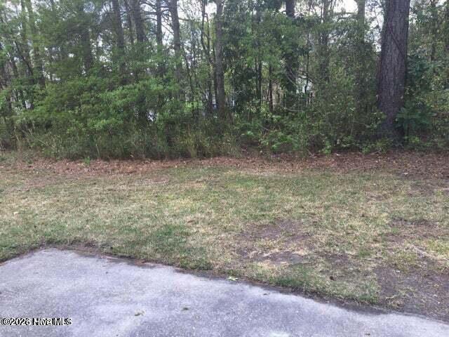 100560732 | Photo 10