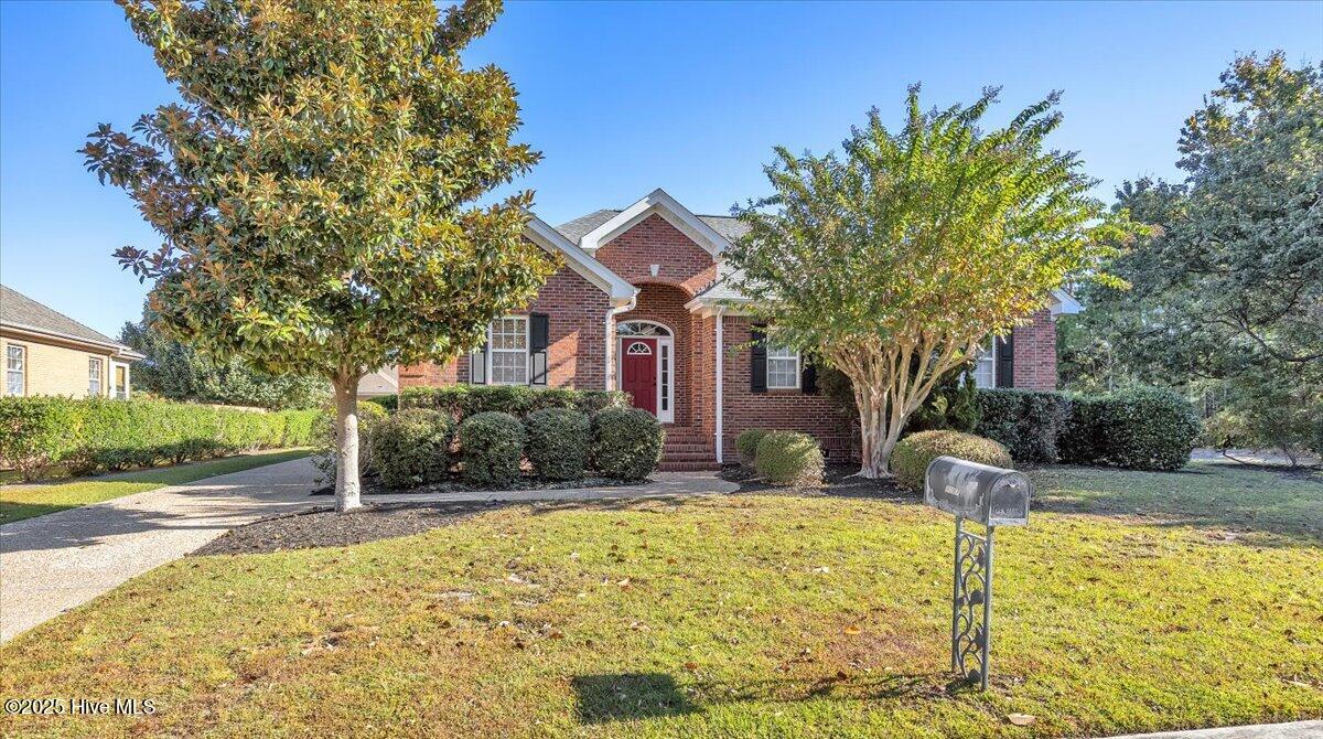 100534283 | Photo 43