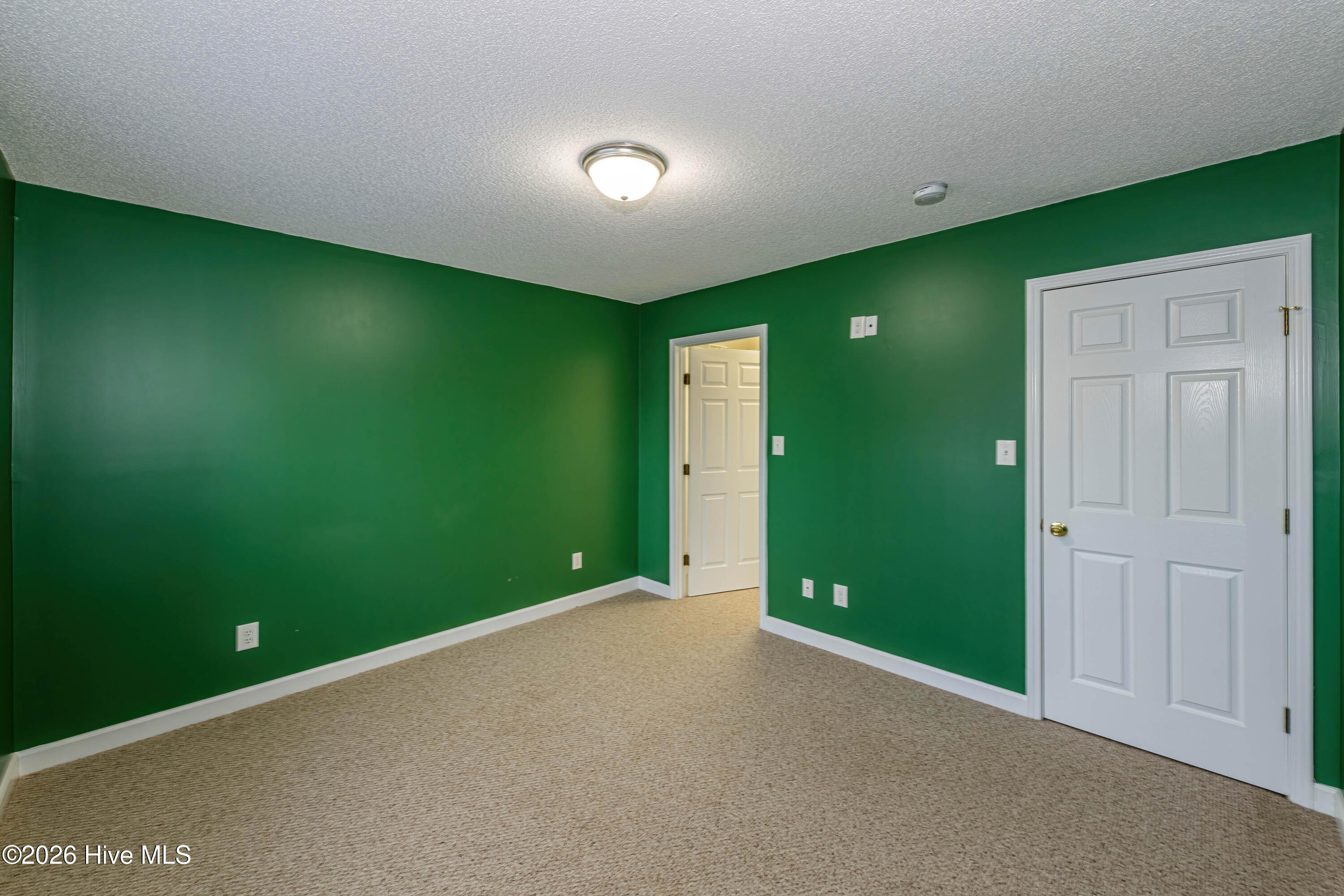 100536665 | Photo 28