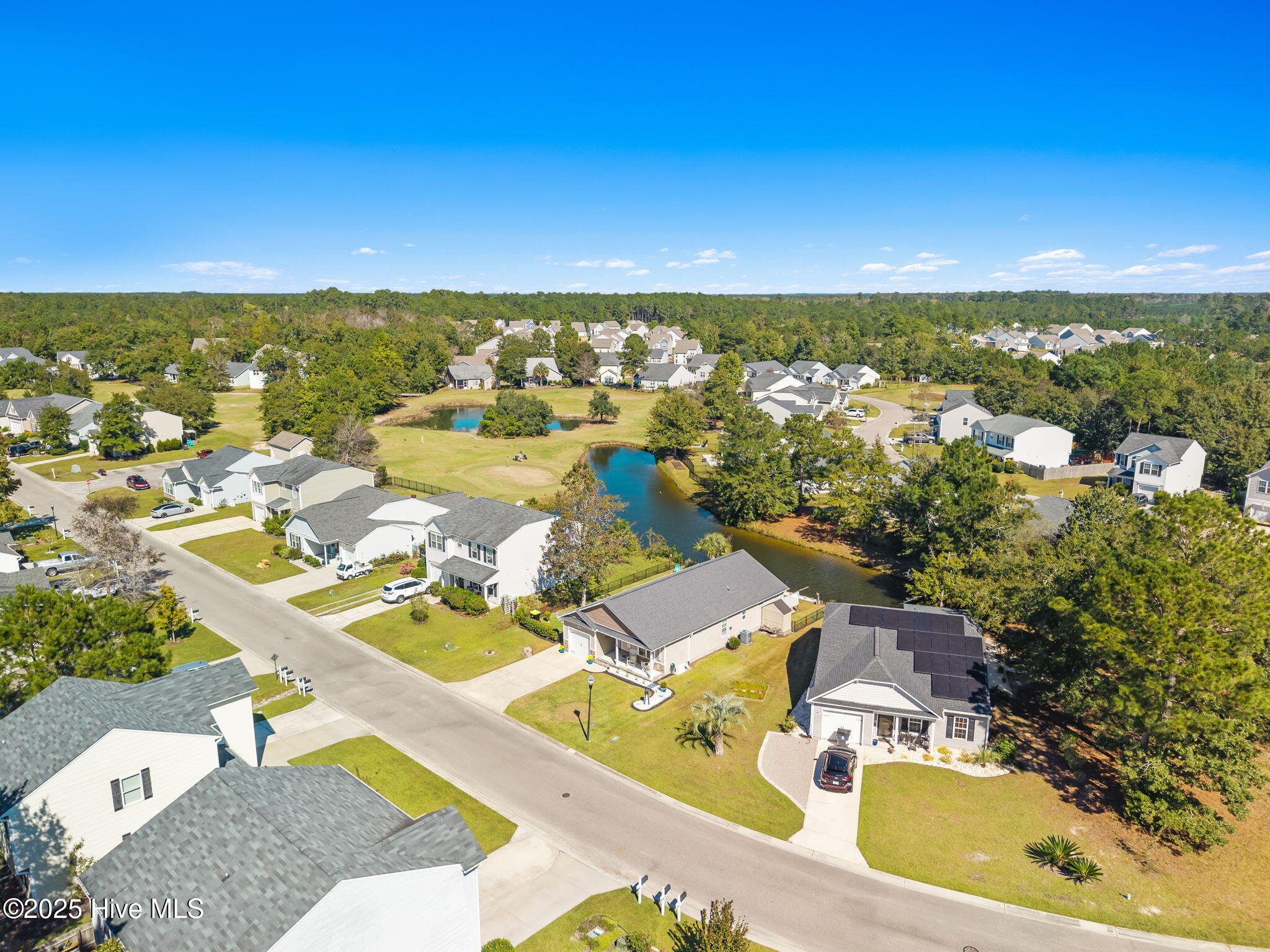 100536893 | Photo 49