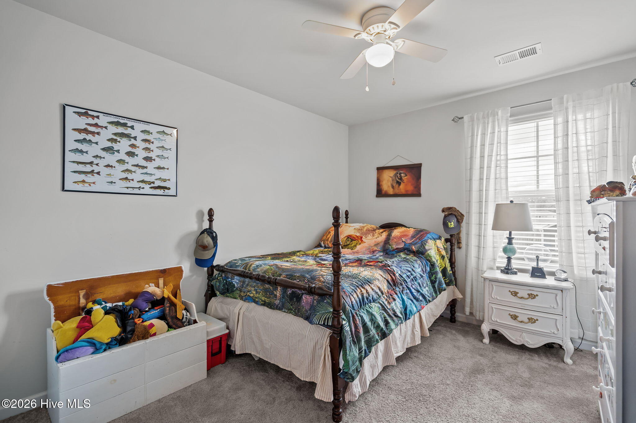 100554763 | Photo 33