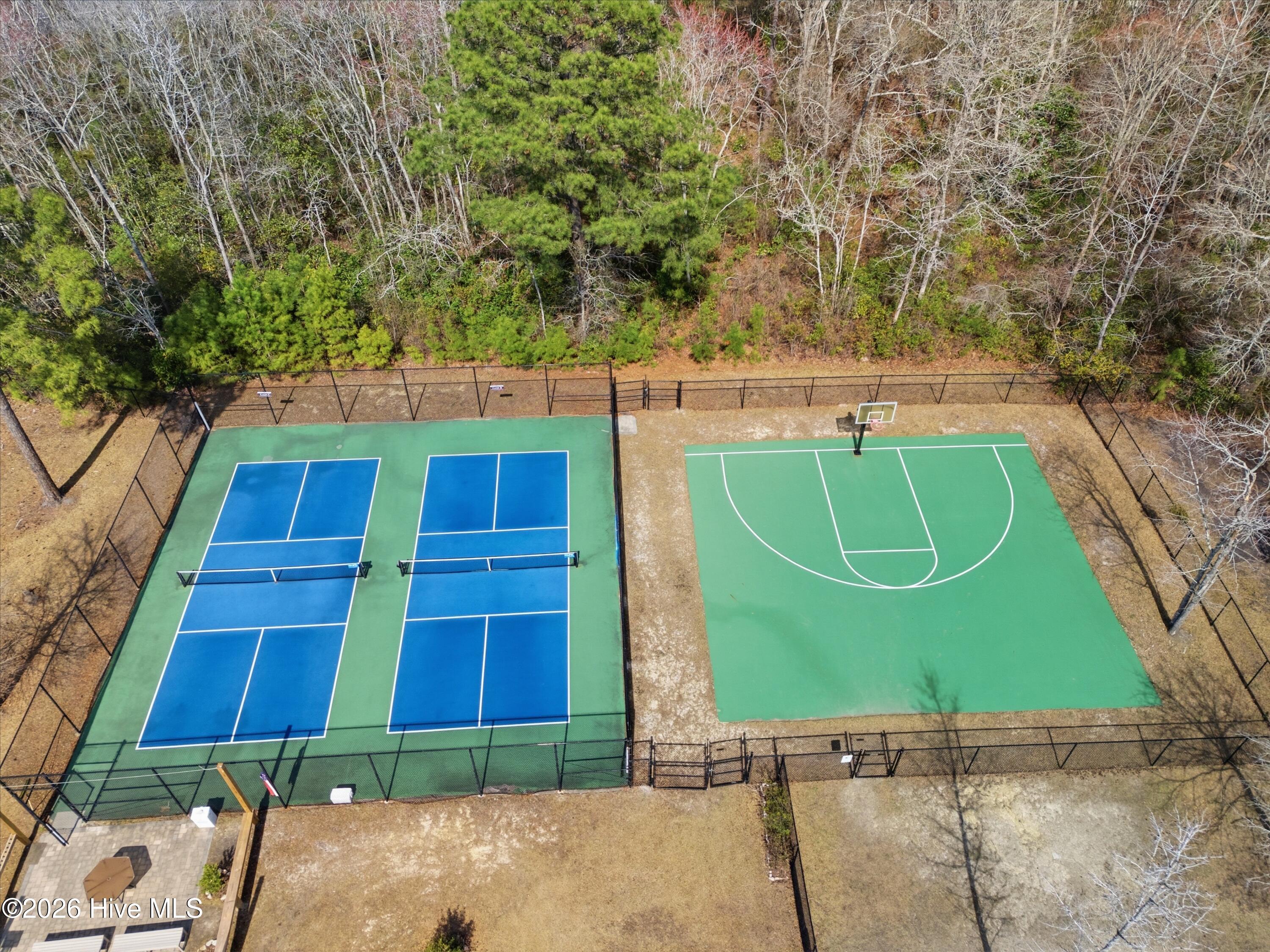 100558541 | Photo 98