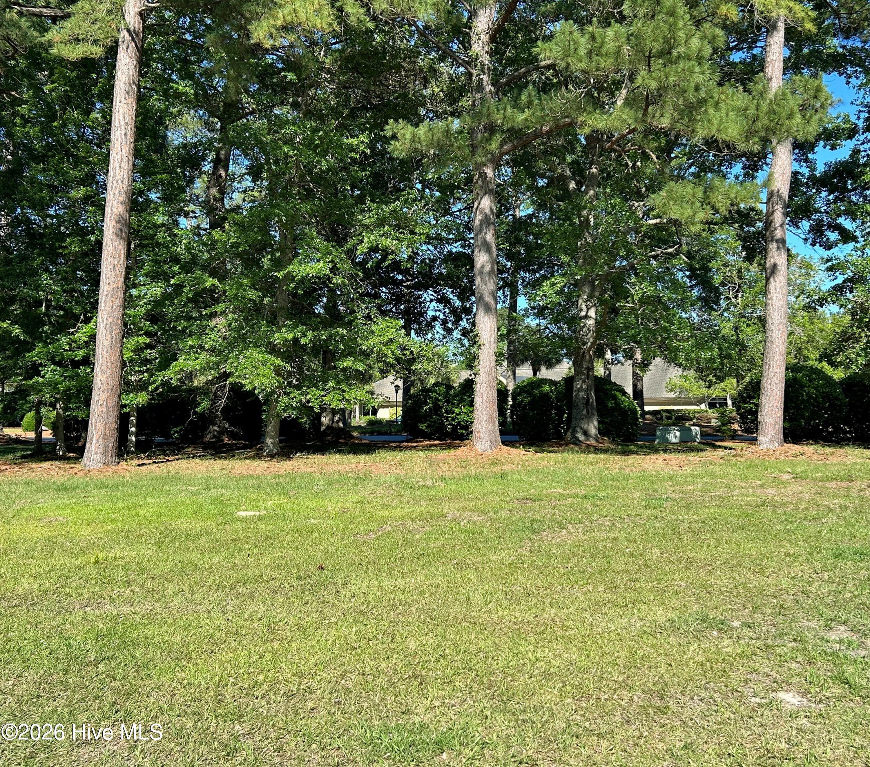 Shirley Johnson - MLS Number: 100575376