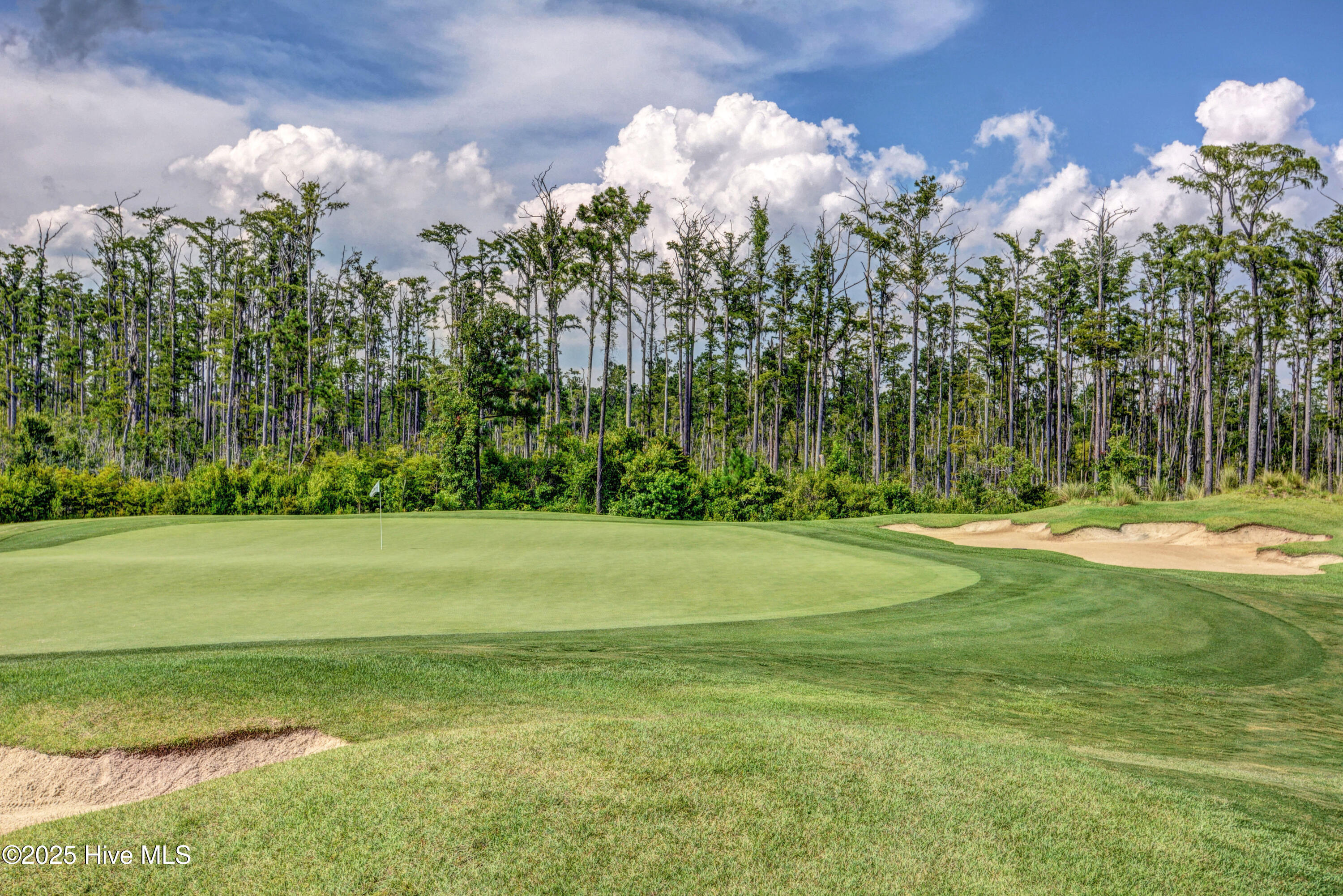 100546758 | Photo 62