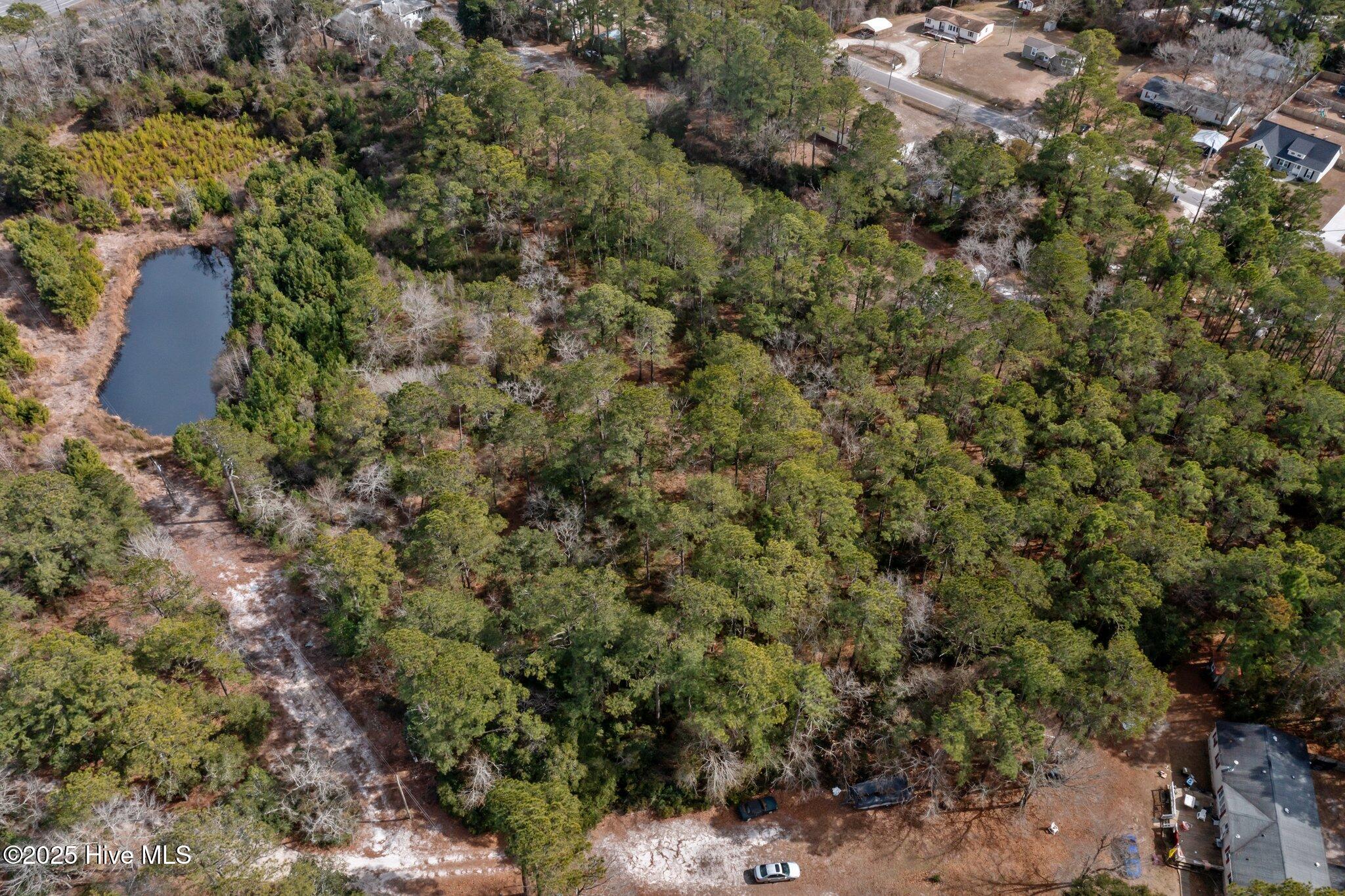 100501075 | Photo 10