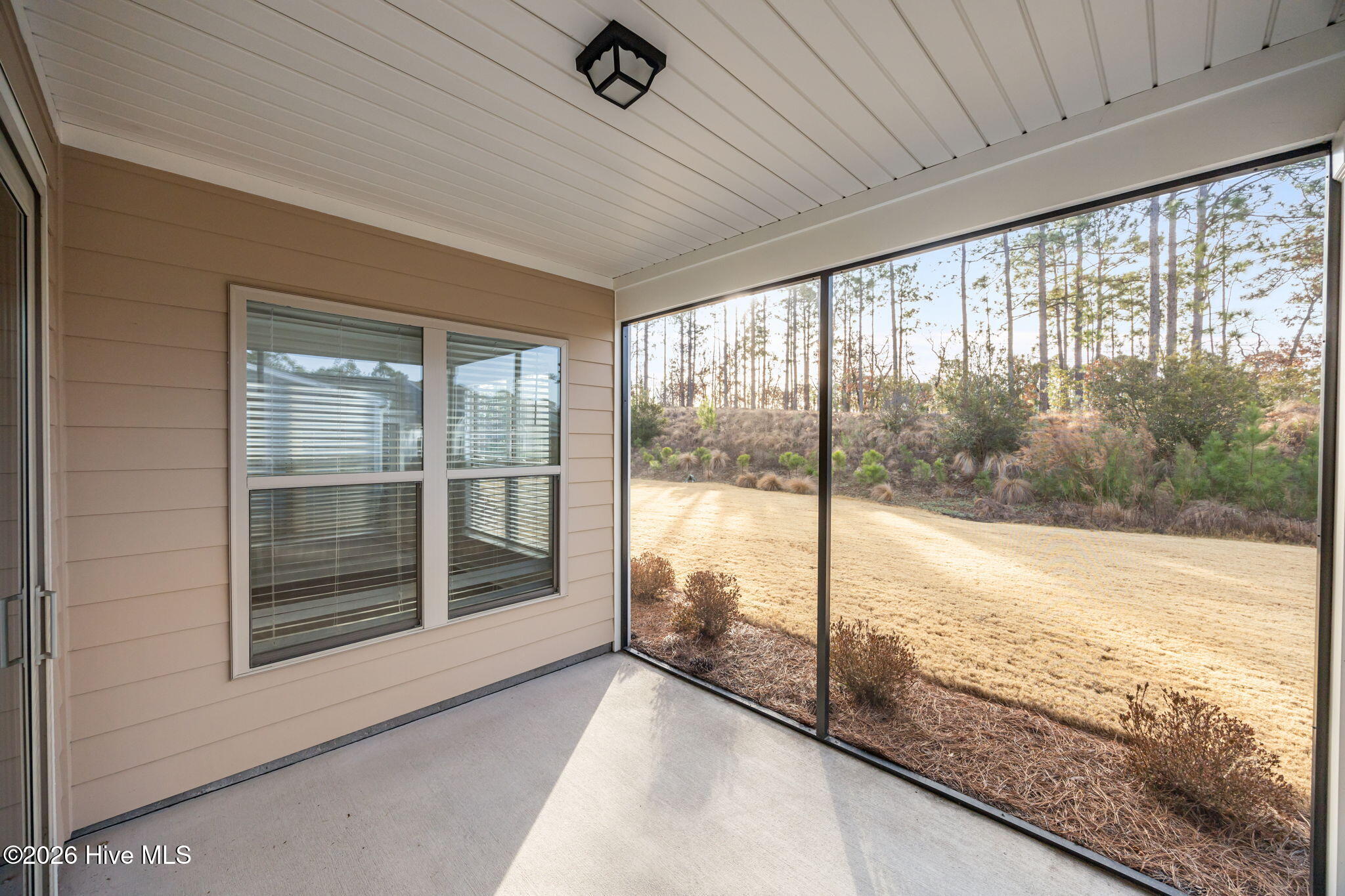 100548837 | Photo 37