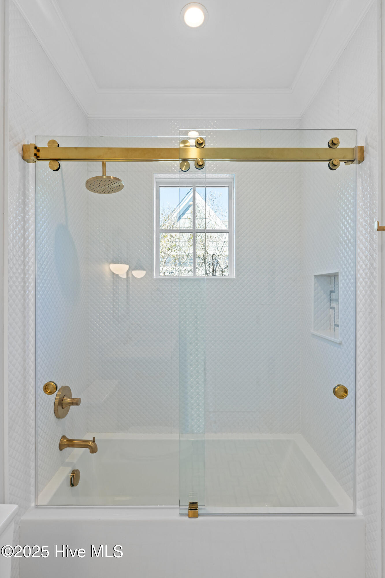 100401243 | Photo 64