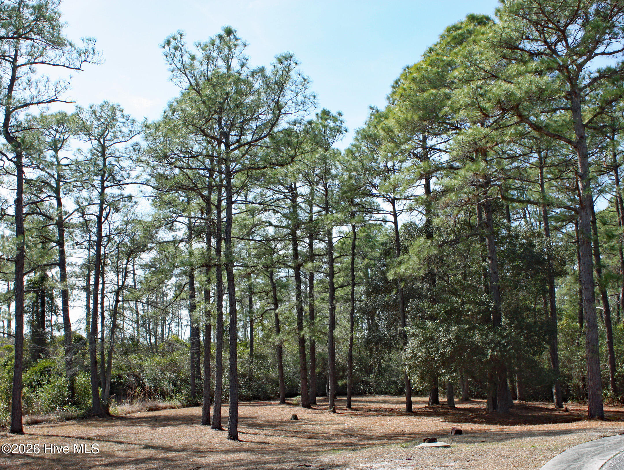 Homes for sale in Ocean Isle Beach, NC | 6653 Lisburn Ter Sw, Ocean Isle Beach, NC 28469 | MLS# 100557826
