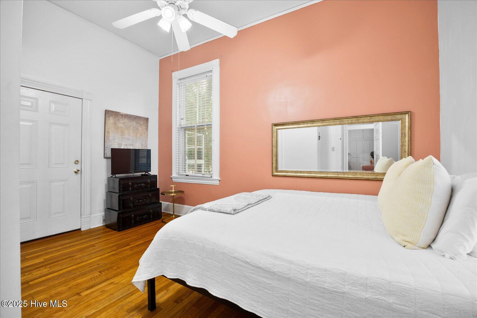 100538271 | Photo 36