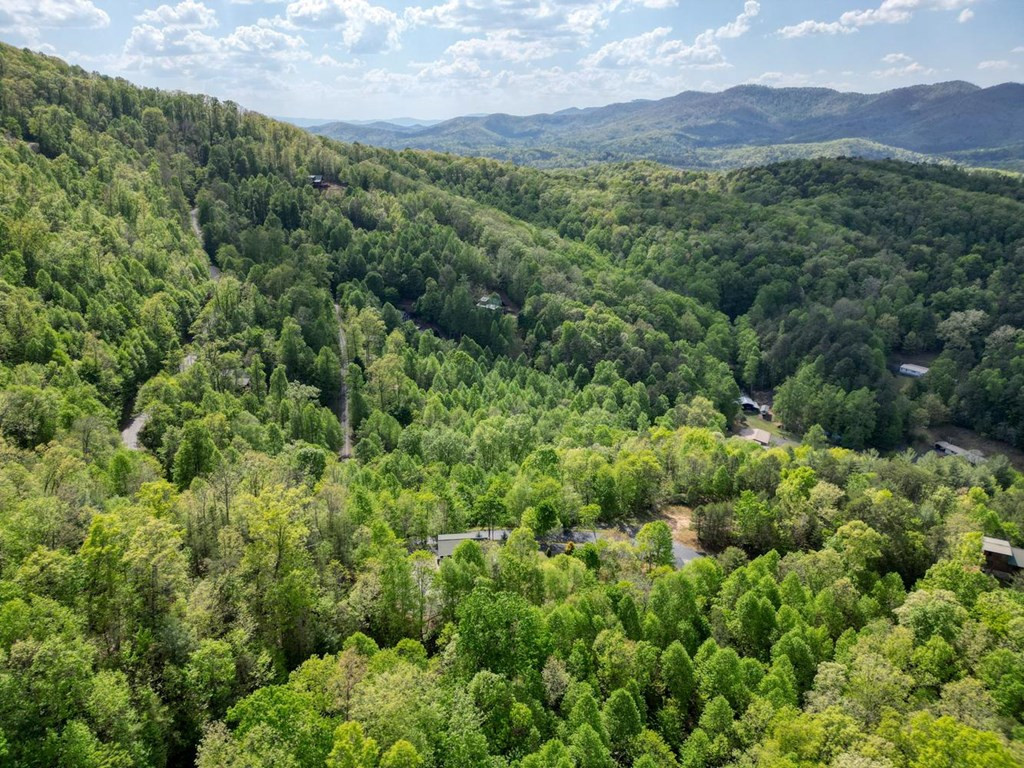 249 Buck Ridge Drive, Murphy, NC 28906 Listing Photo  58