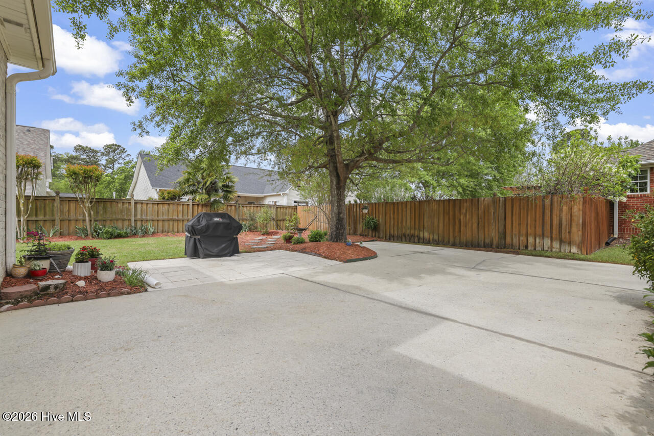 100554989 | Photo 43