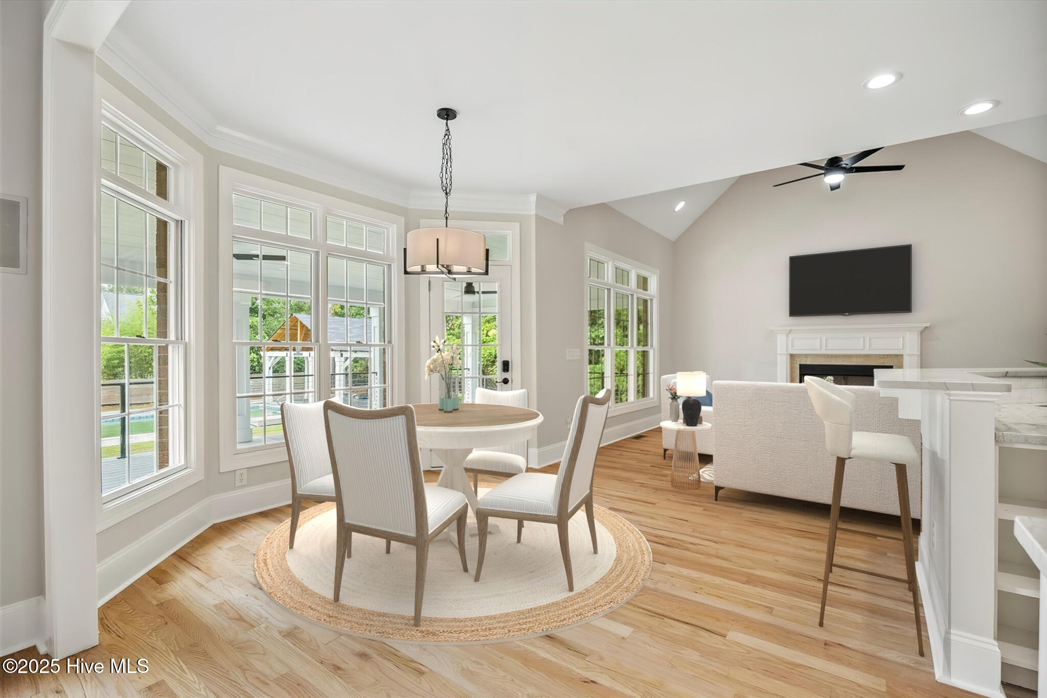 100536137 | Photo 11