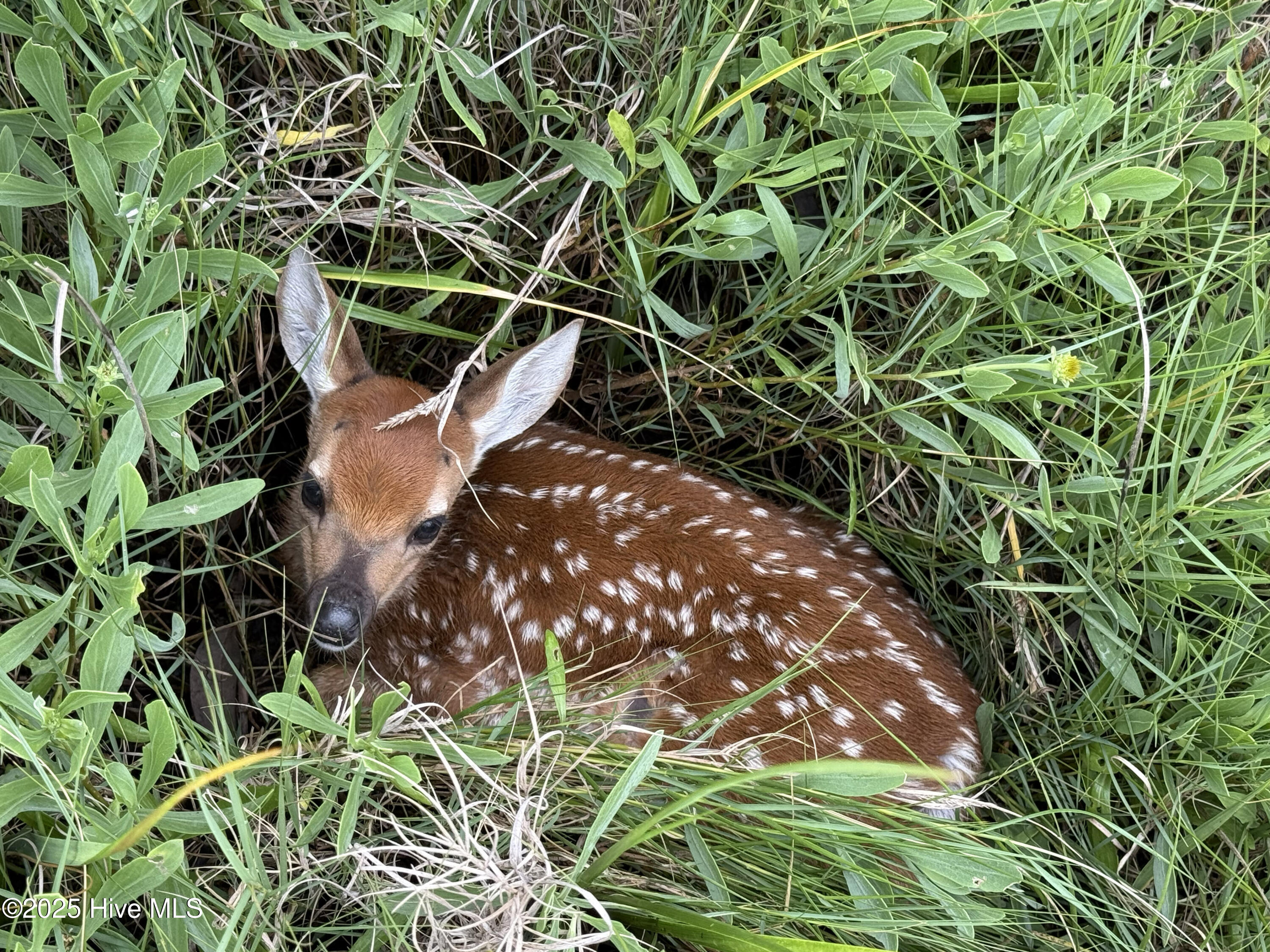 100540889 | Photo 59