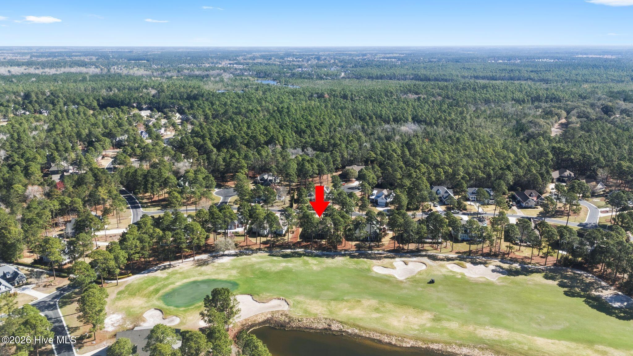 100564432 | Photo 58