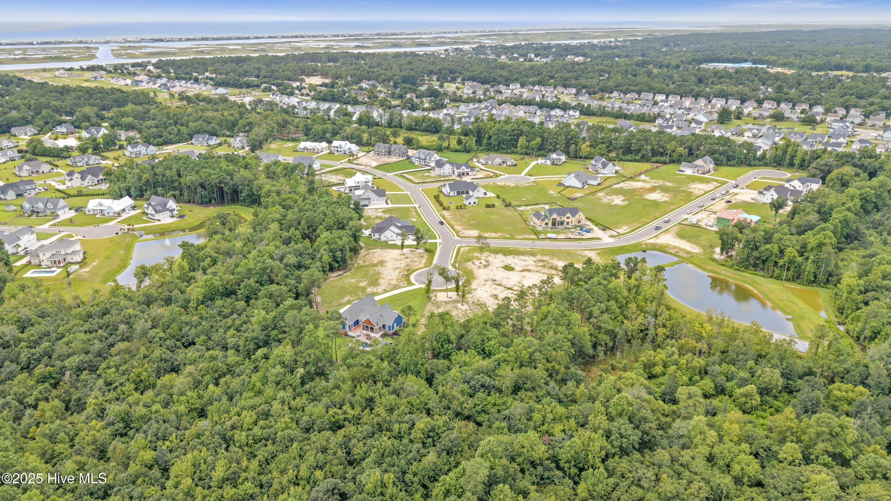 100523581 | Photo 17