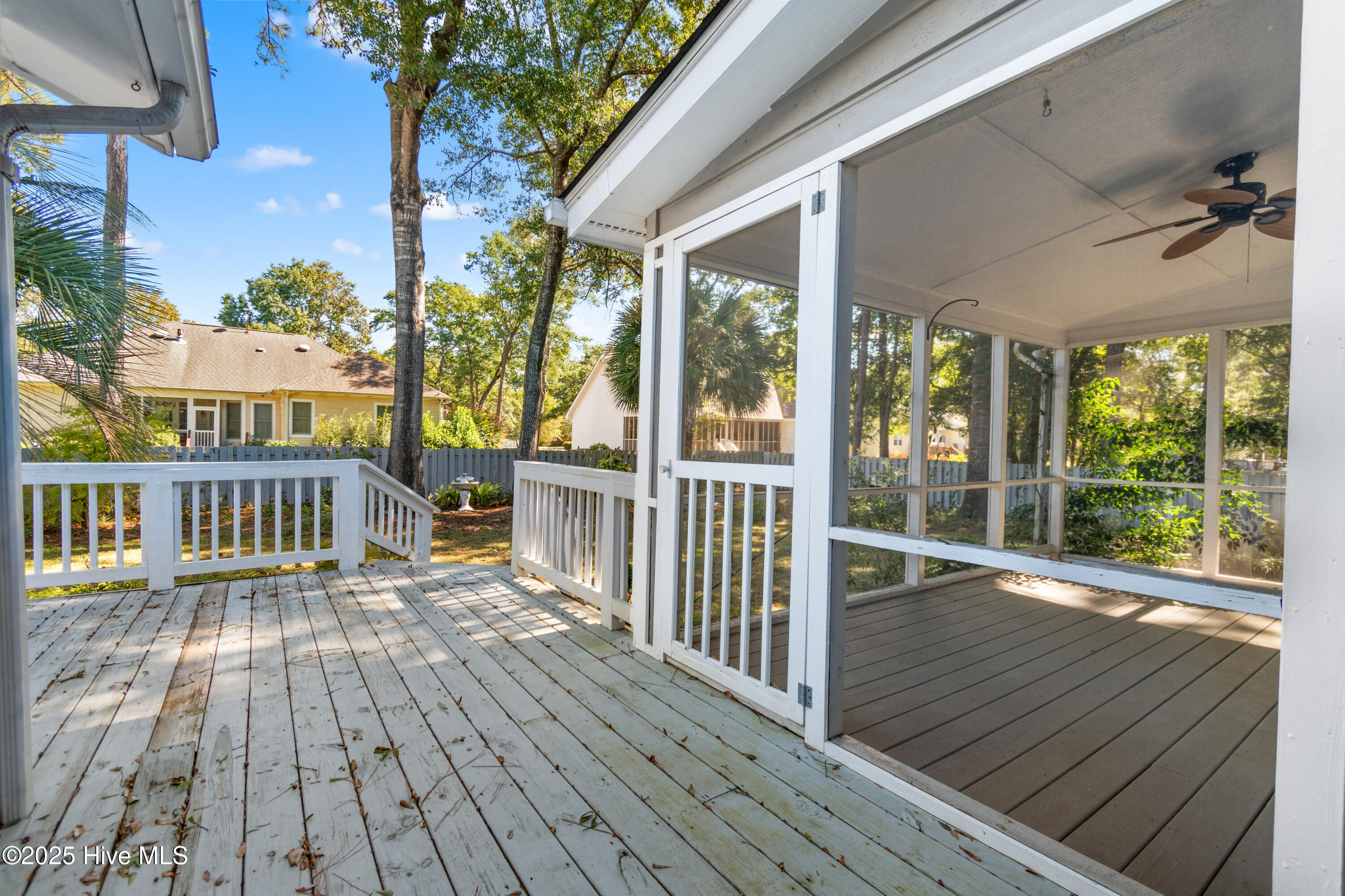 100537451 | Photo 18