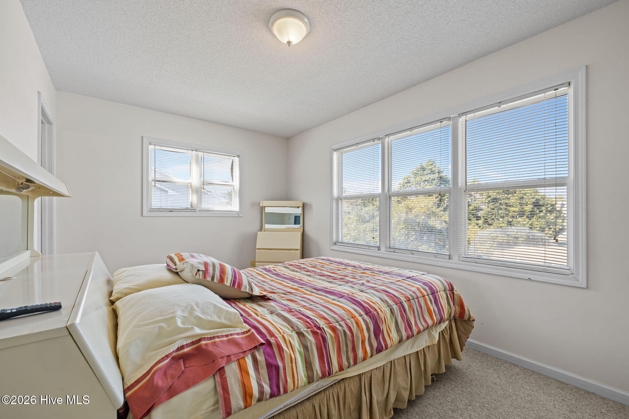 100557807 | Photo 16