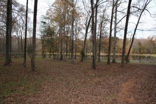 Double Branches Road, Lincolnton, GA 30817 Listing Photo  7