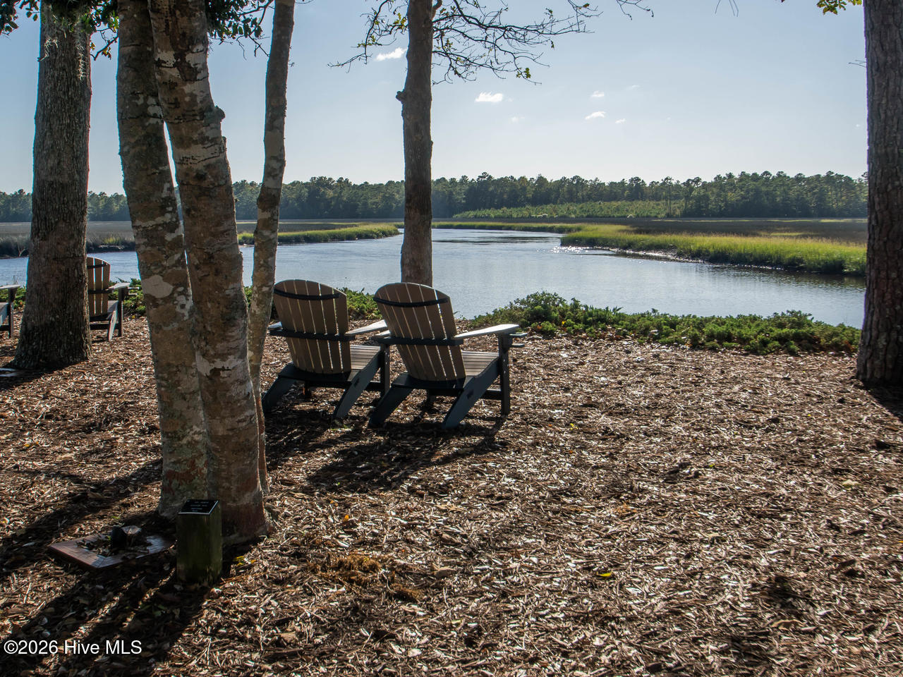 100559820 | Photo 30