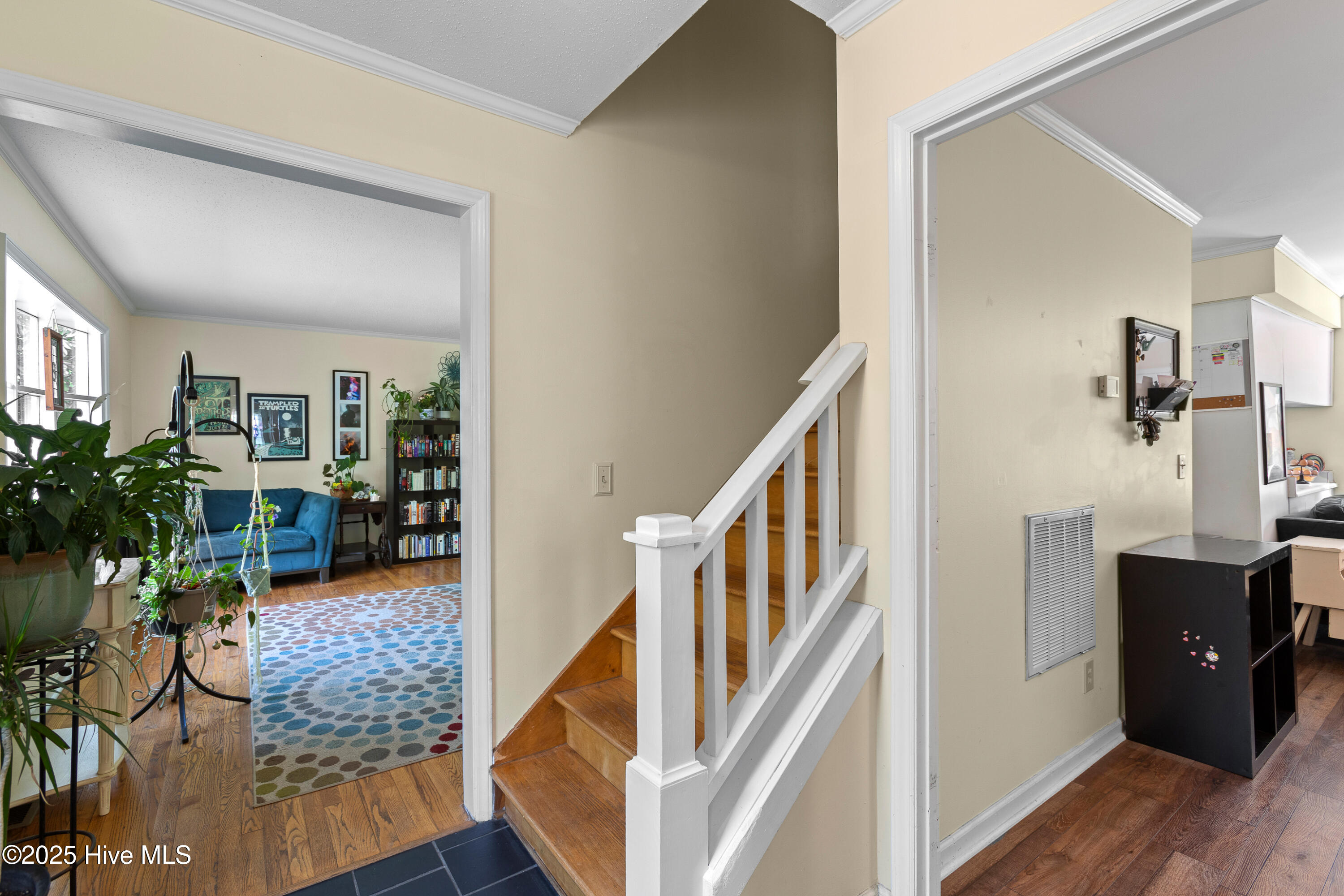 703 Baby Doe Circle, Hampstead, NC 28443 – photo 5: 0-4