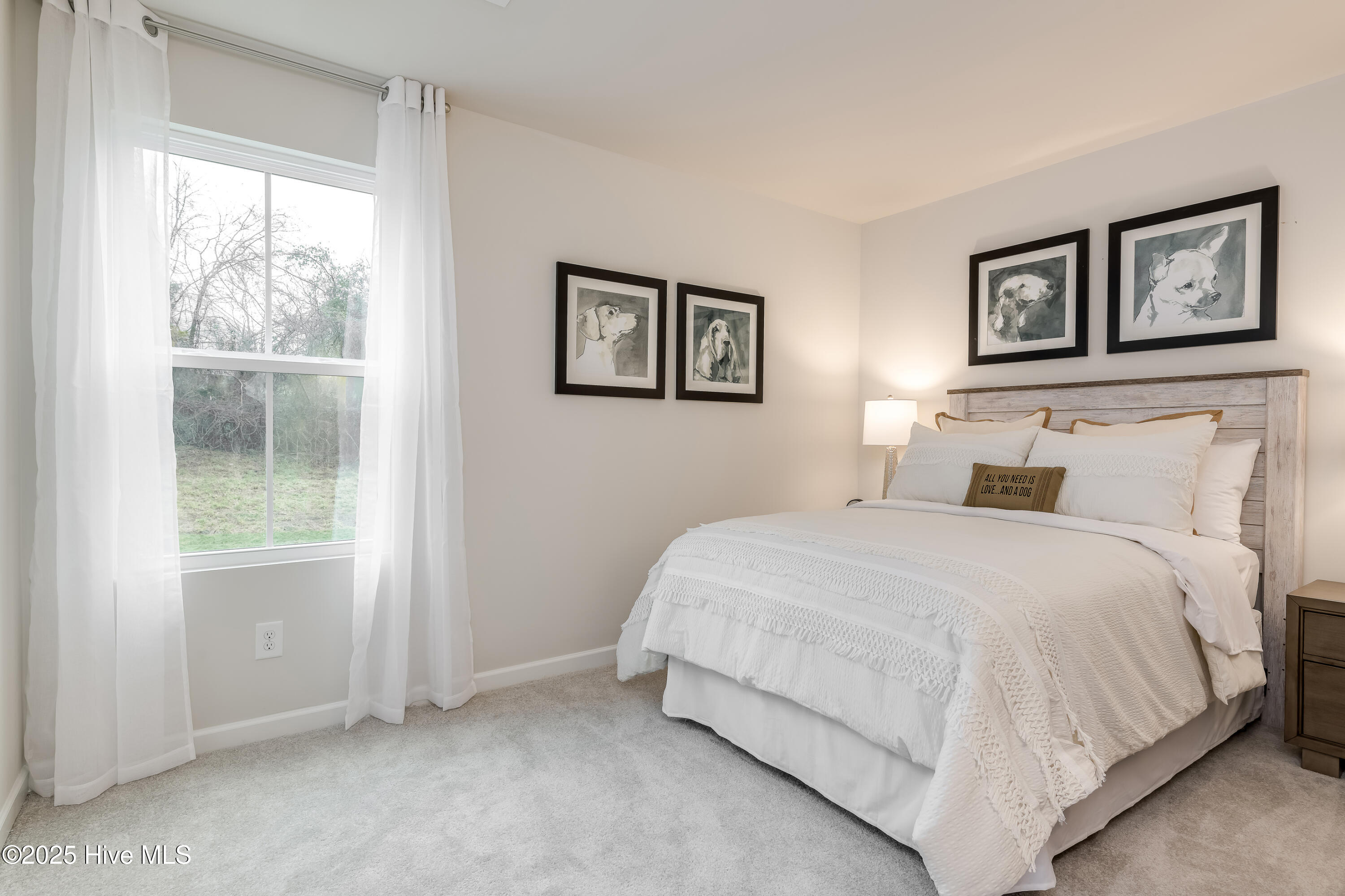 100487766 | Photo 13