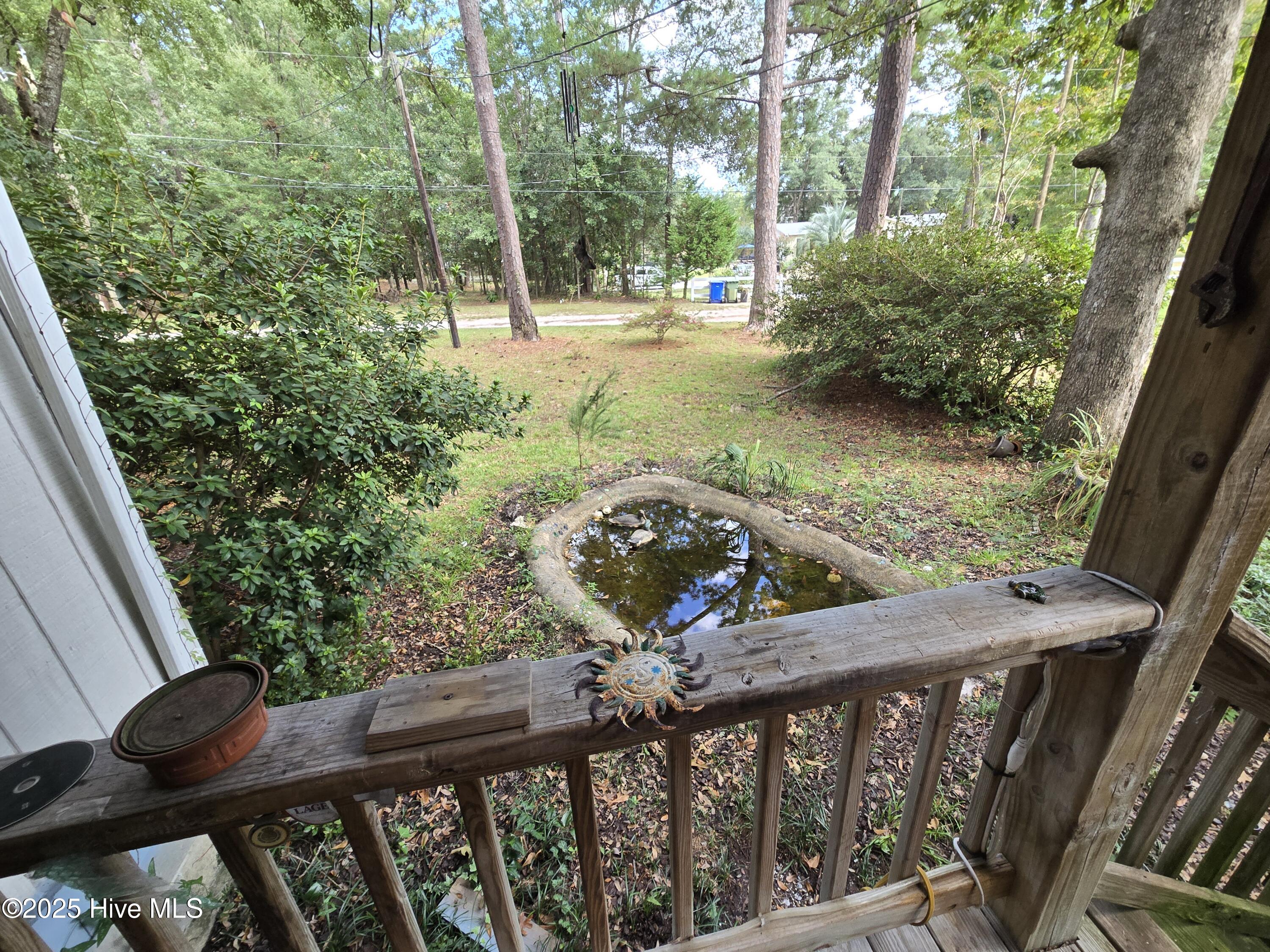 100531418 | Photo 51