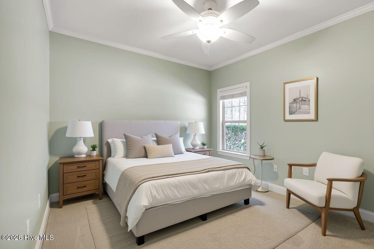 100548376 | Photo 35