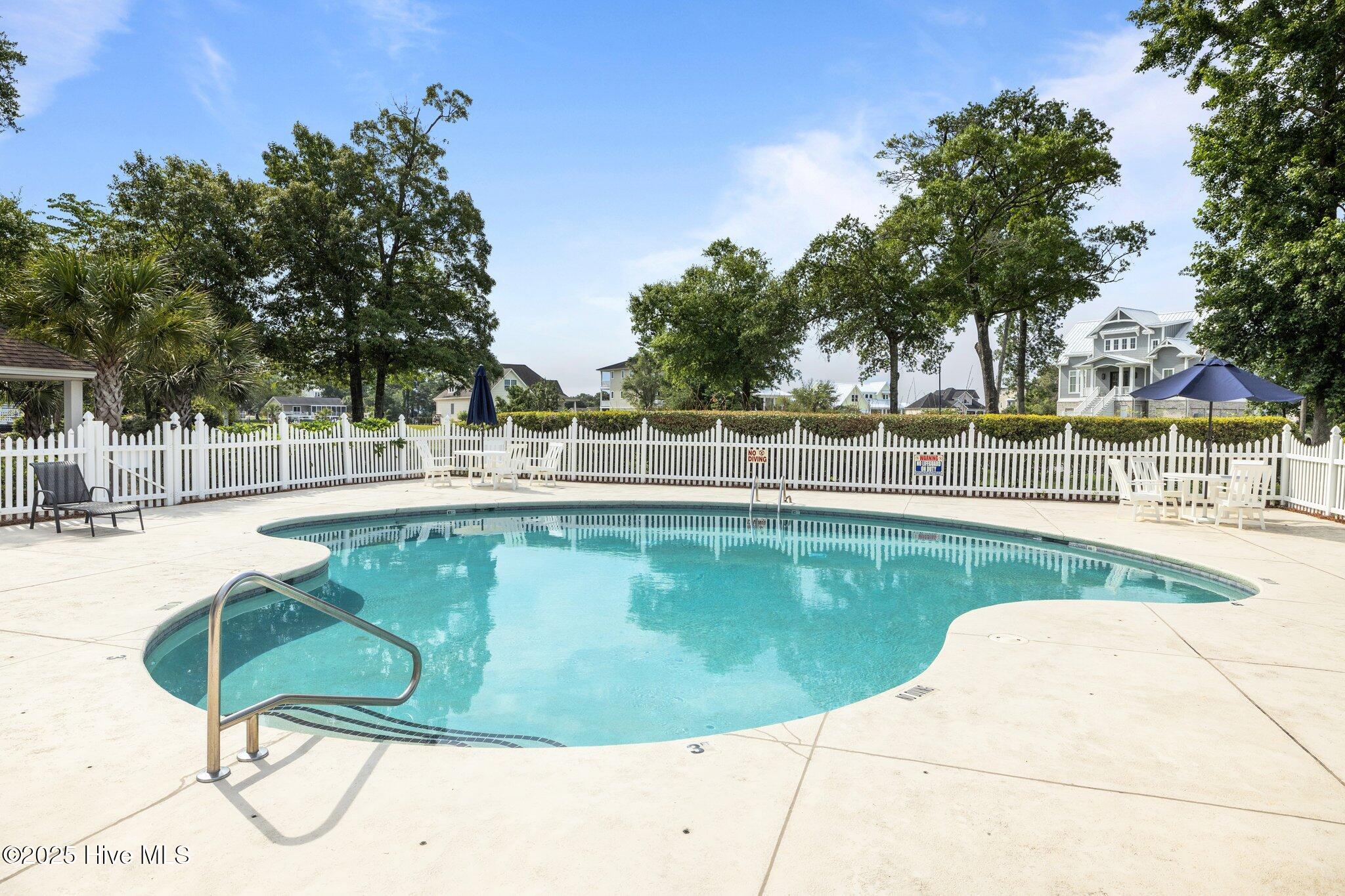 100558486 | Photo 14