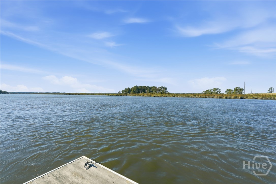 9 Brewster Street, Savannah, GA, 31419