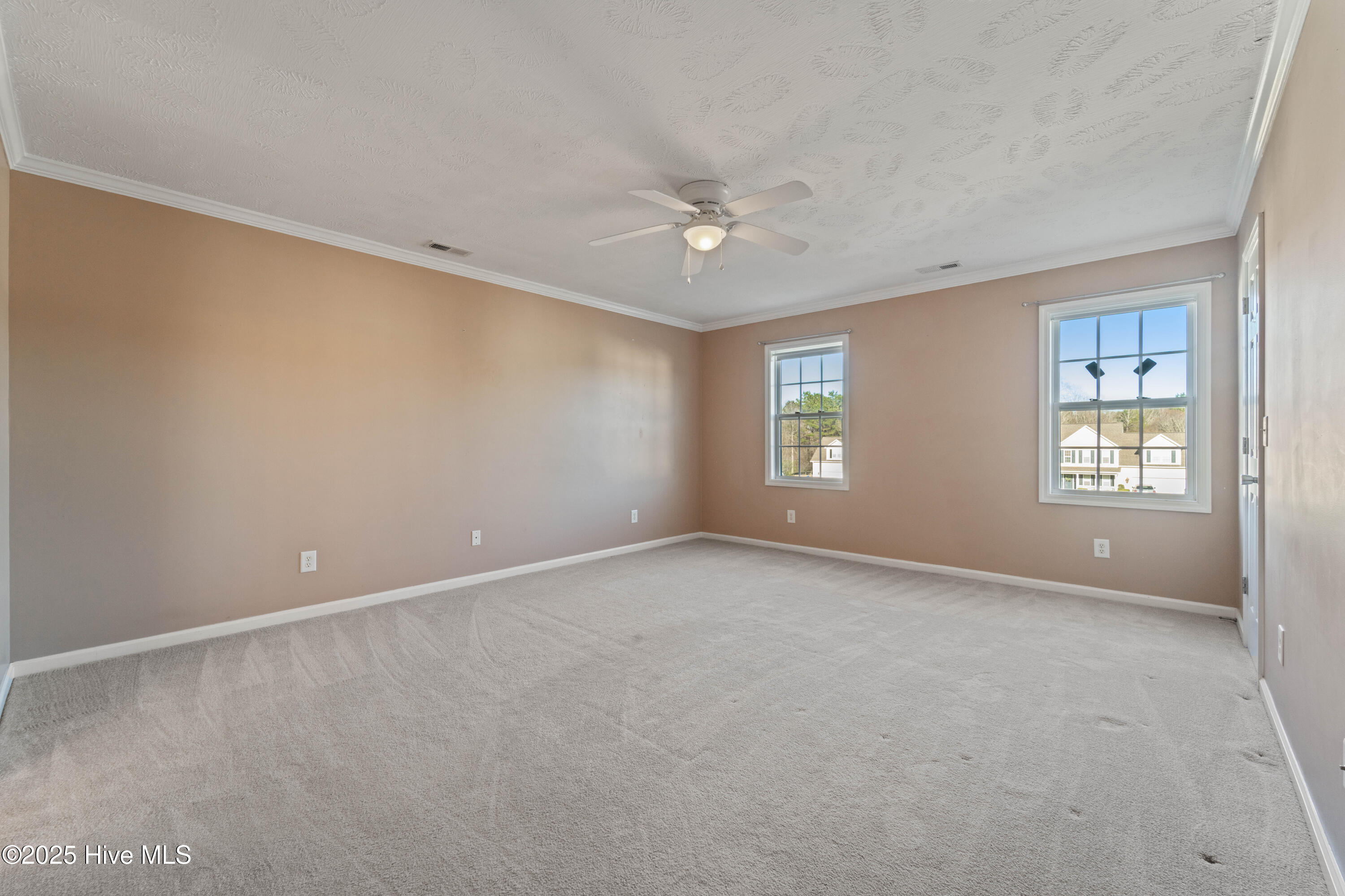 100556361 | Photo 10