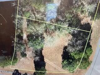 31 Quail, Harrells, North Carolina, 0 ,Residential Lot,For sale,Quail,100602581 31 Quail, Harrells, North Carolina, 0 ,Residential Lot,For sale,Quail,100602581