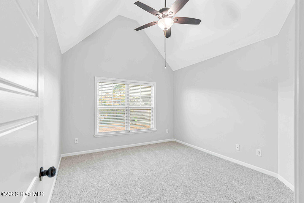 100548964 | Photo 33