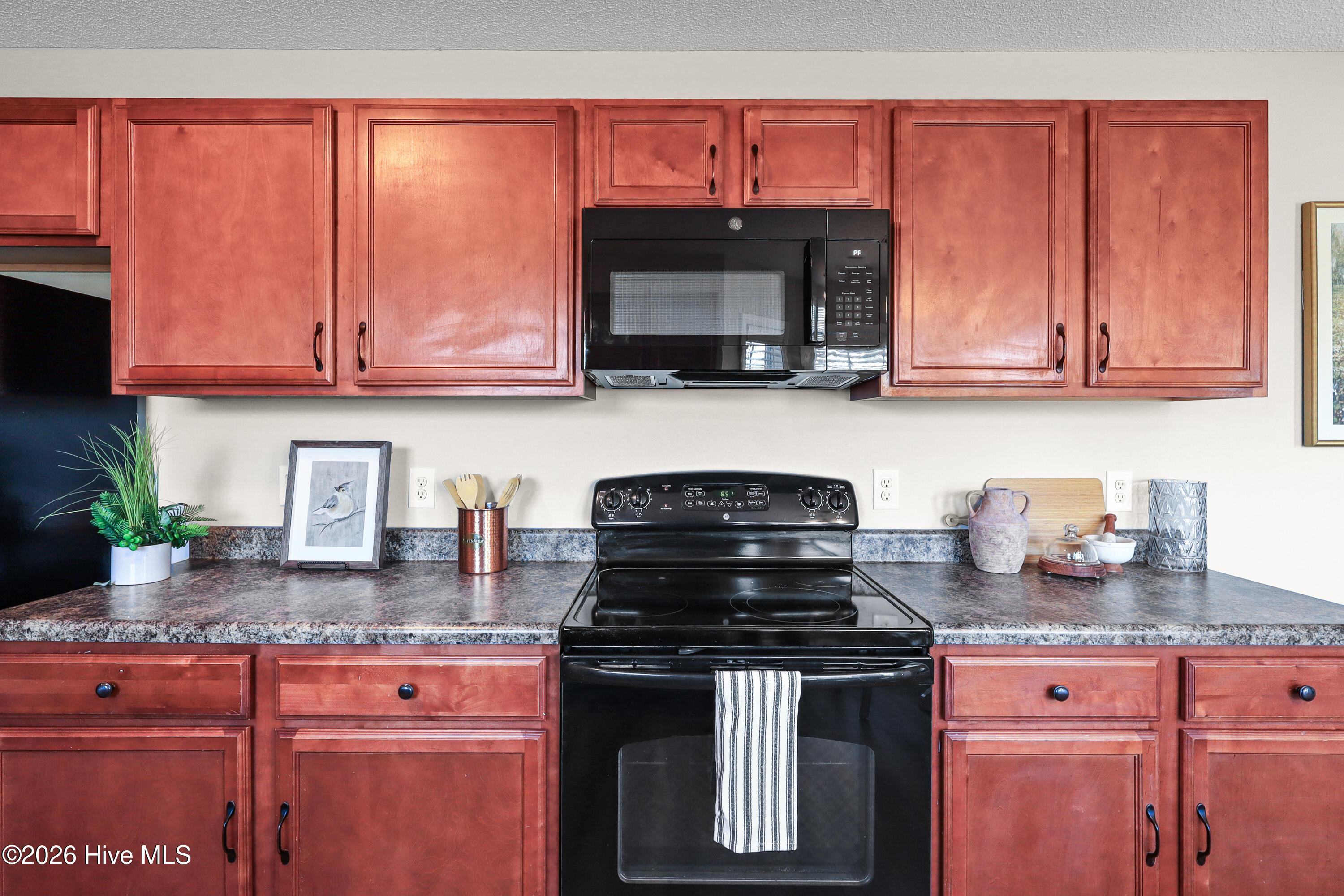 100554505 | Photo 17