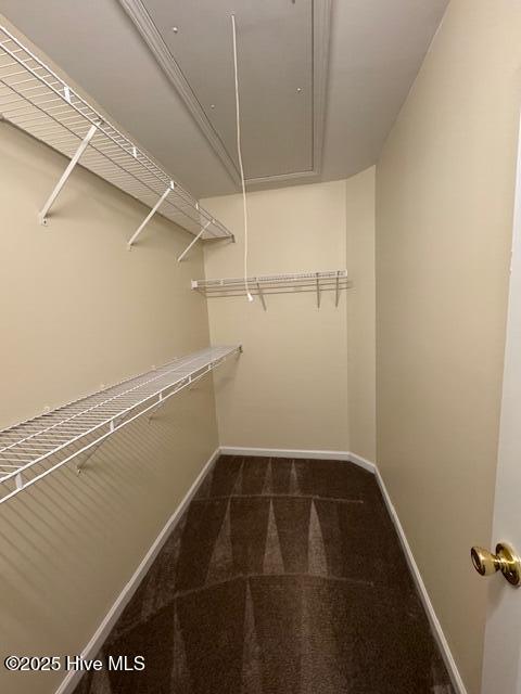 100546317 | Photo 12