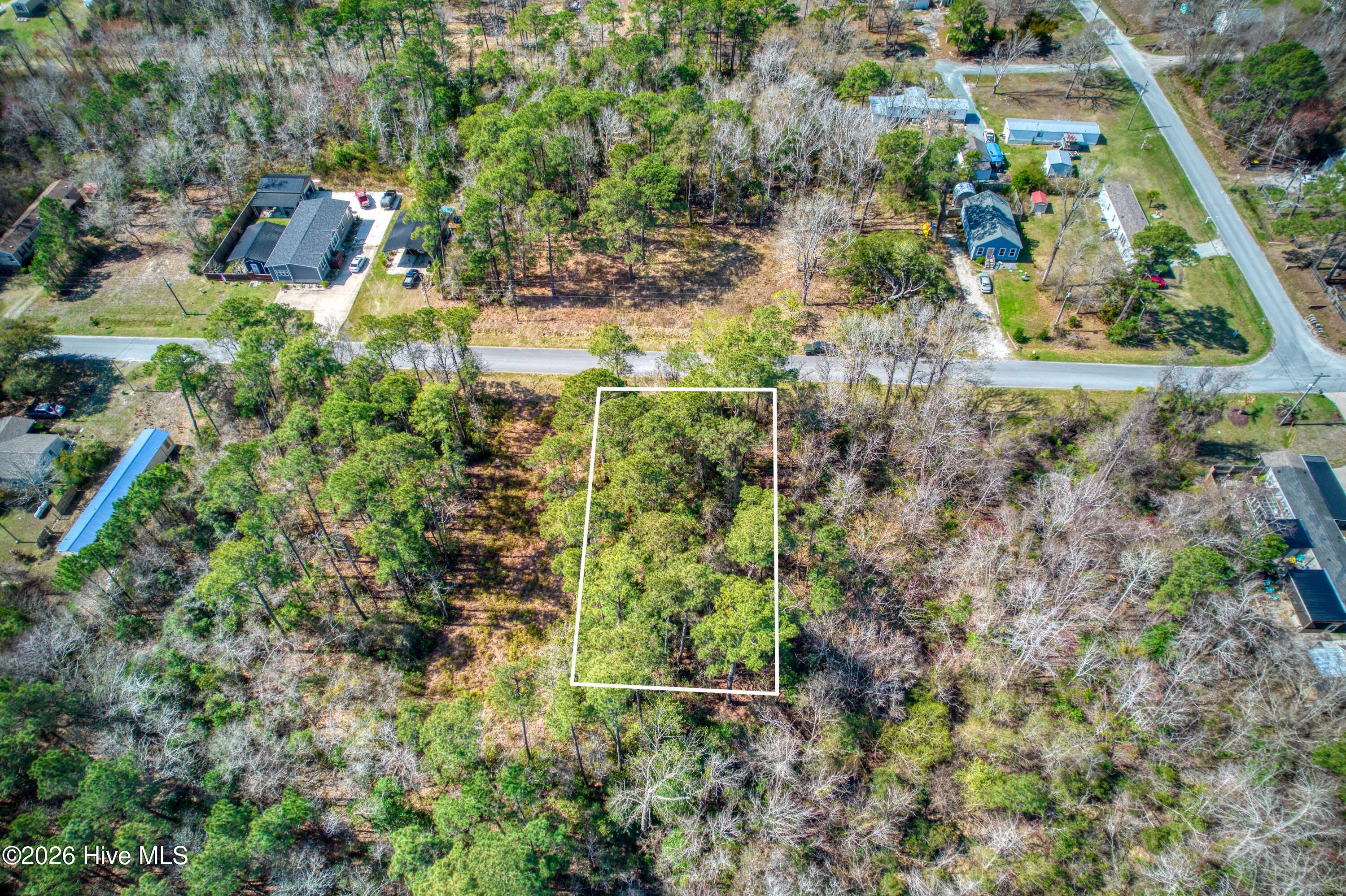 100560771 | Photo 16