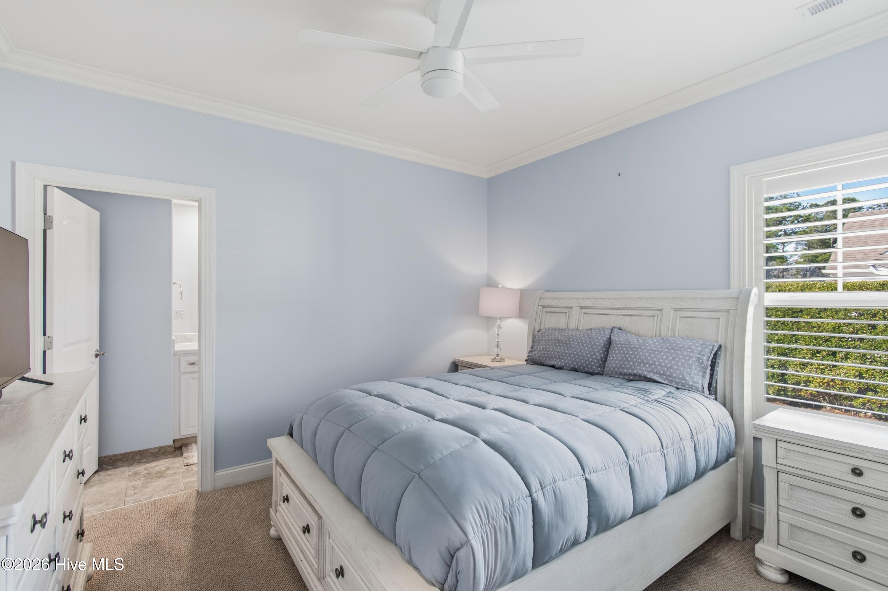 100548705 | Photo 51