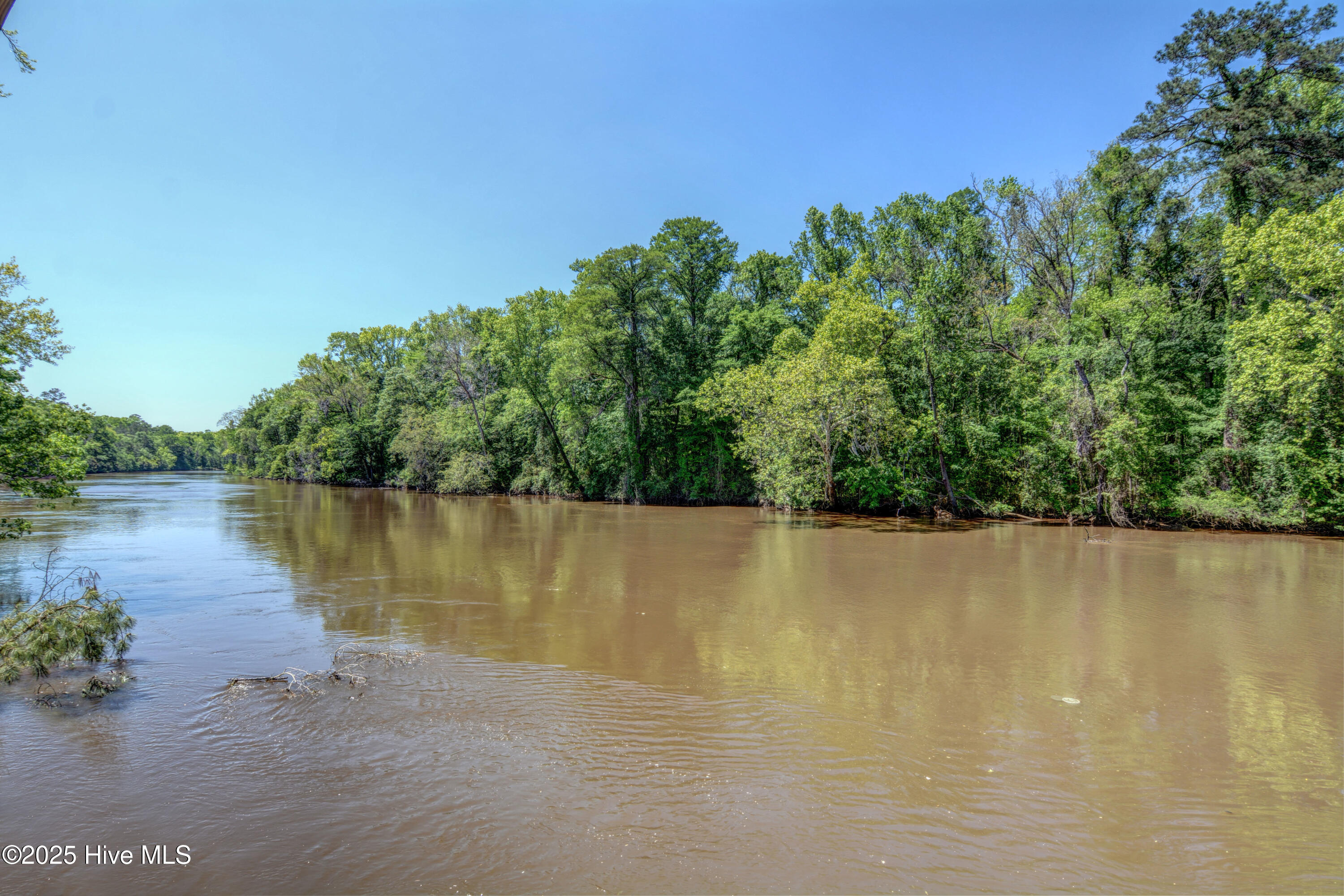 100531256 | Photo 57