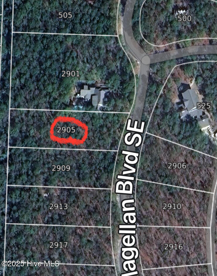 100545172 | Photo 17