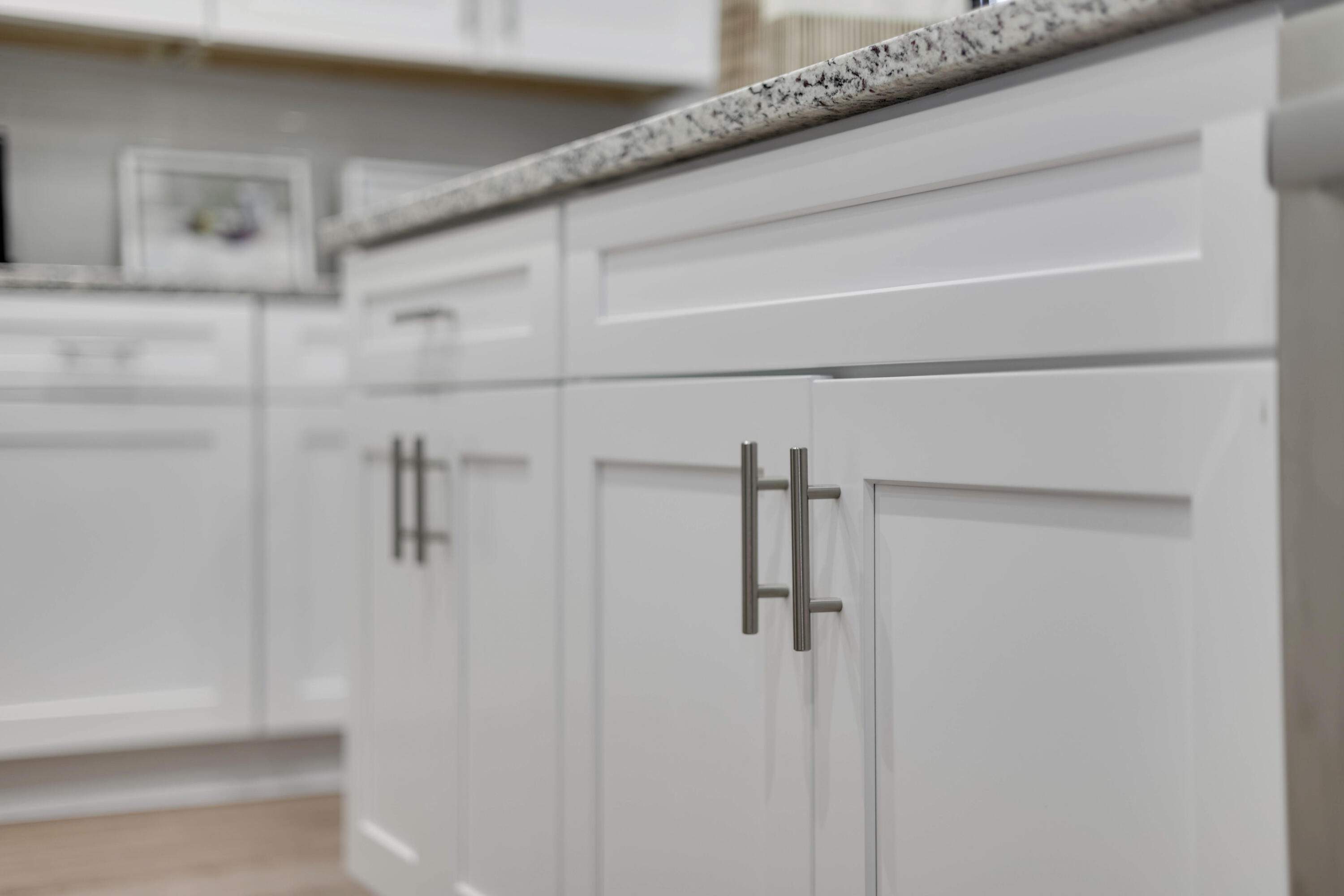 AGS_GPS_Rembert_Model_CabinetDetail