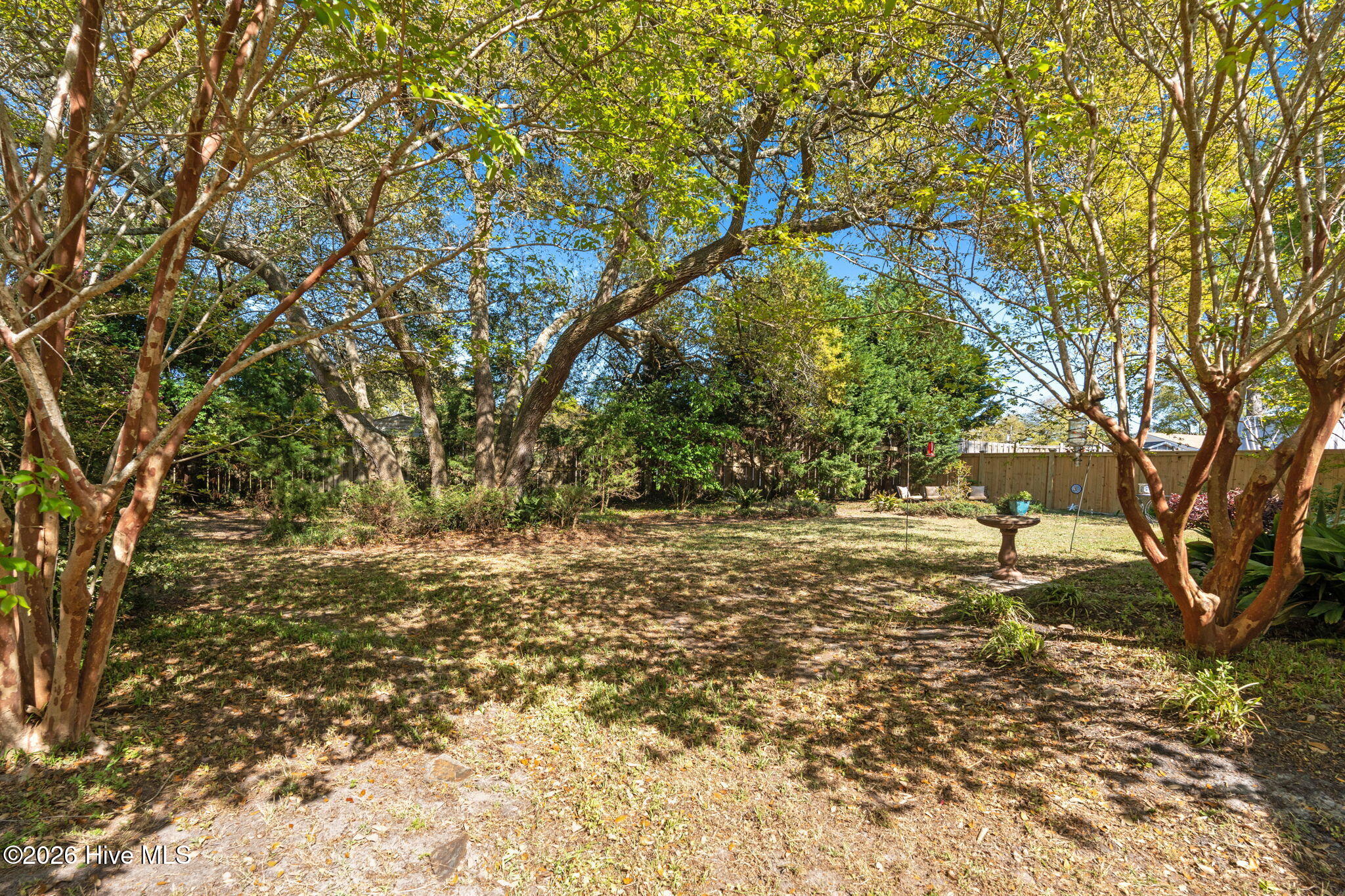 100567853 | Photo 42