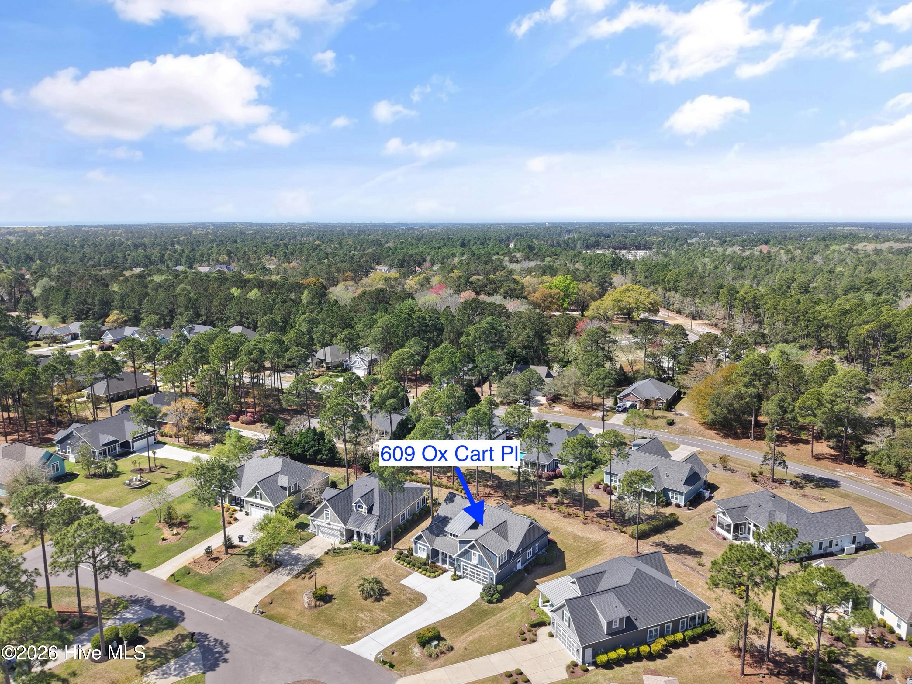 100564386 | Photo 68