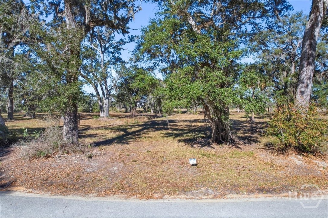 Homes for sale in Midway, GA | Lot 3 Bermuda Bluff Ln, Midway, GA 31320 | MLS# SA348556