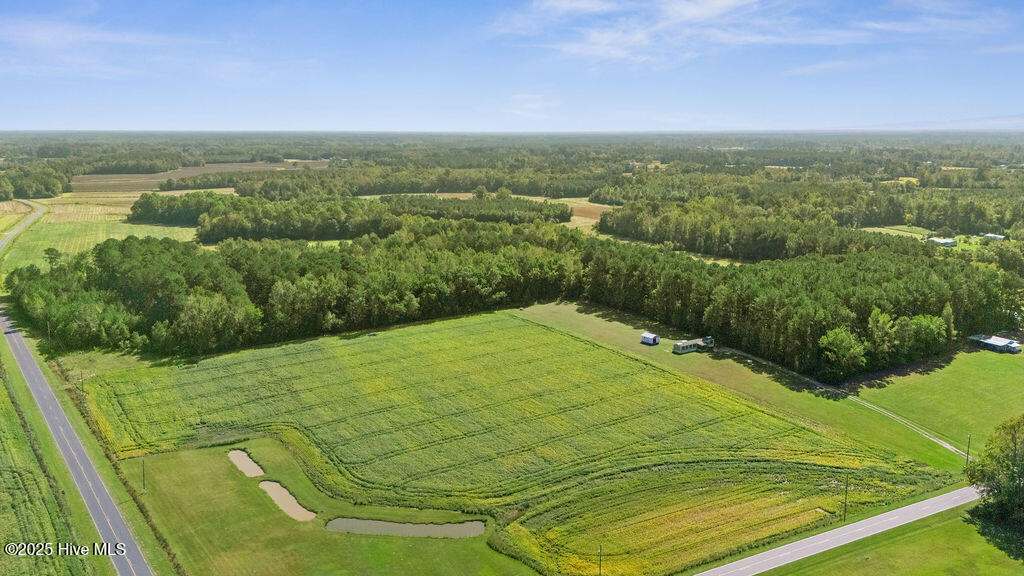 100535278 | Photo 12