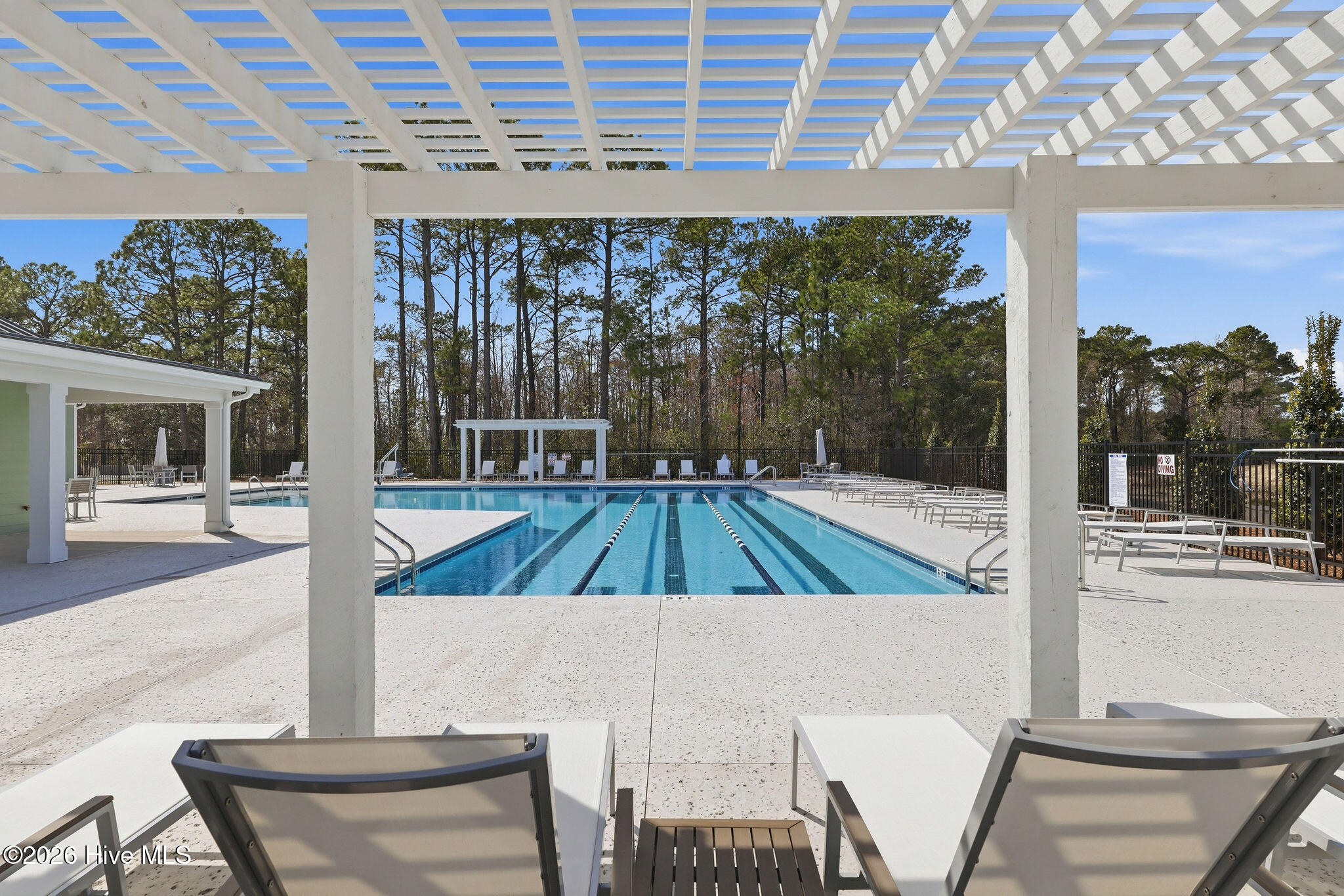 100558472 | Photo 61